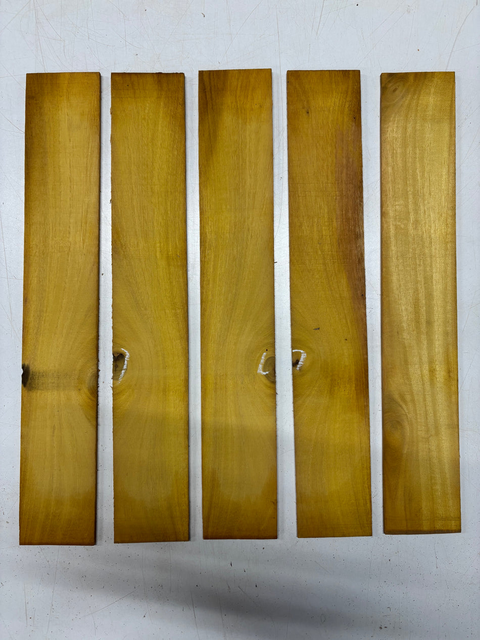 5 Pack, Osage Orange Thin Stock Lumber 18"x3"x1/8"#5101