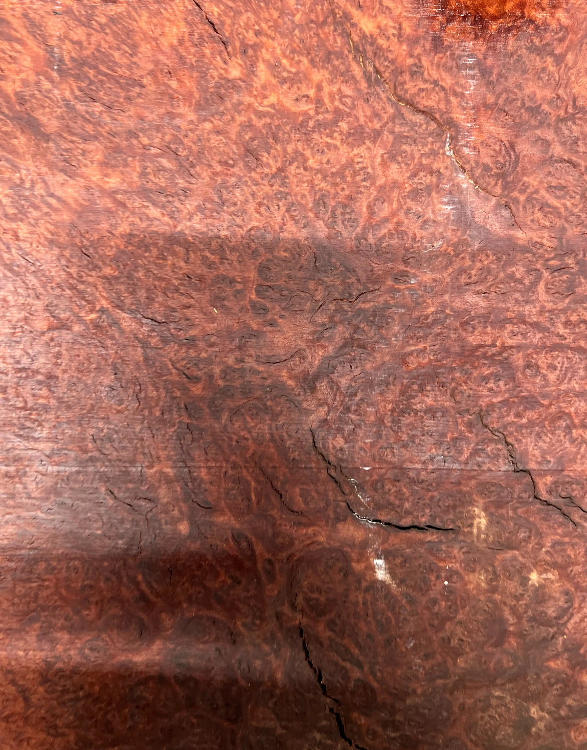 Red Mallee Burl Guitar Drop Top Set 21" x 14" x 1/4" #06 - Exotic Wood Zone - Buy online Across USA 