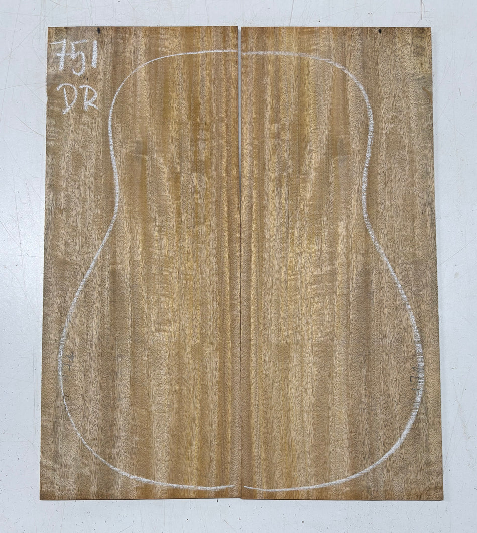 Juego de fondo y aros de guitarra de grado AAAA Dreadnought de palisandro de la India Oriental #61 