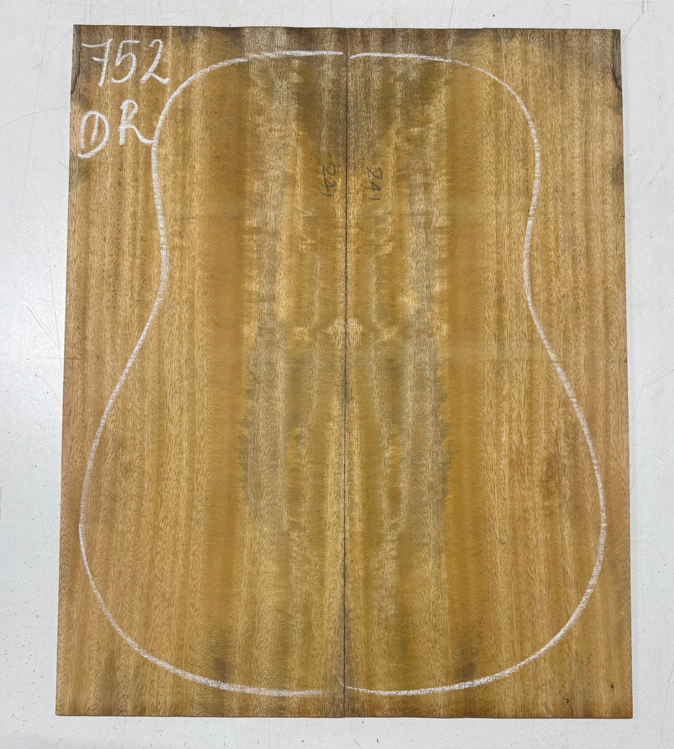 Juego de fondo y aros de guitarra de grado AAAA Dreadnought de palisandro de la India Oriental #61 