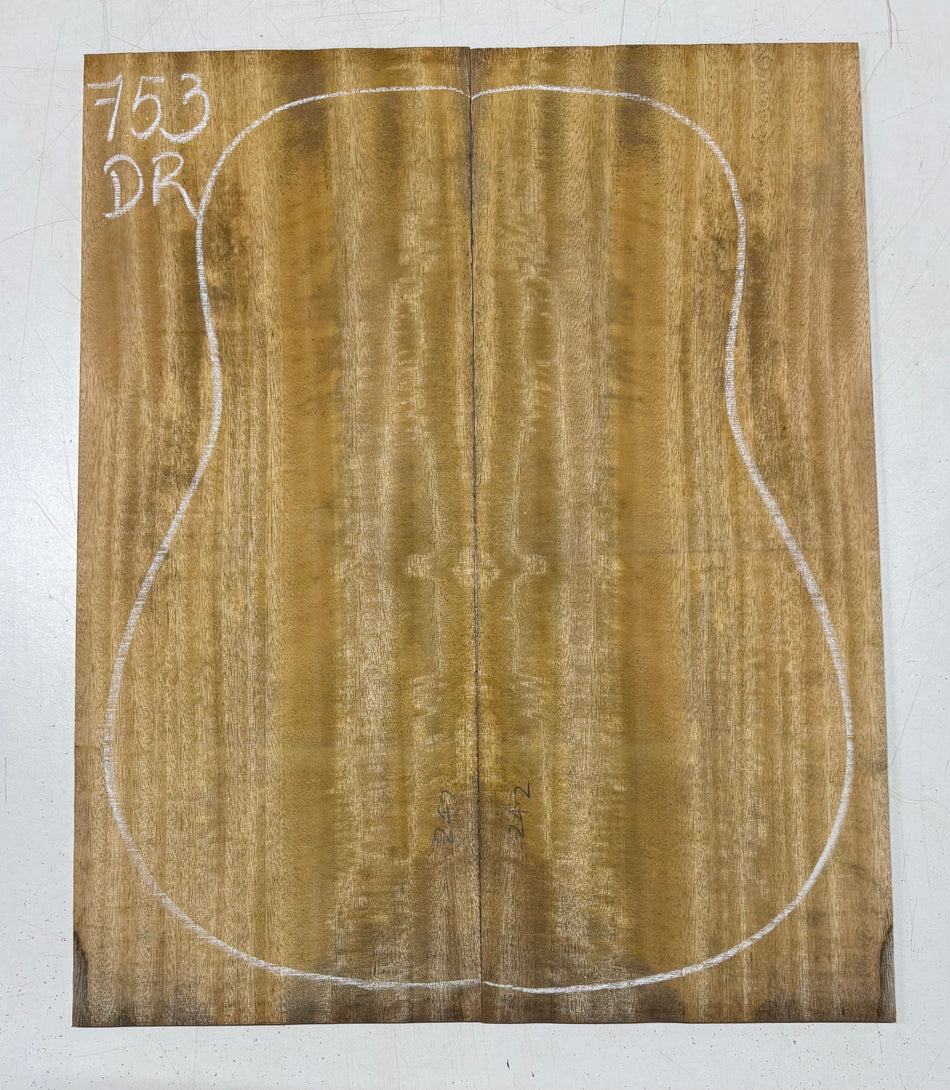 Juego de fondo y aros de guitarra de grado AAAA Dreadnought de palisandro de la India Oriental #61 