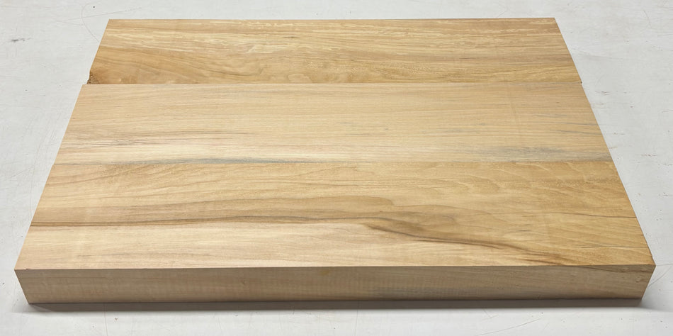 Ébauche de corps de guitare en tilleul - 21" x 14-1/4" x 1-7/8" (3 pièces collées) #501