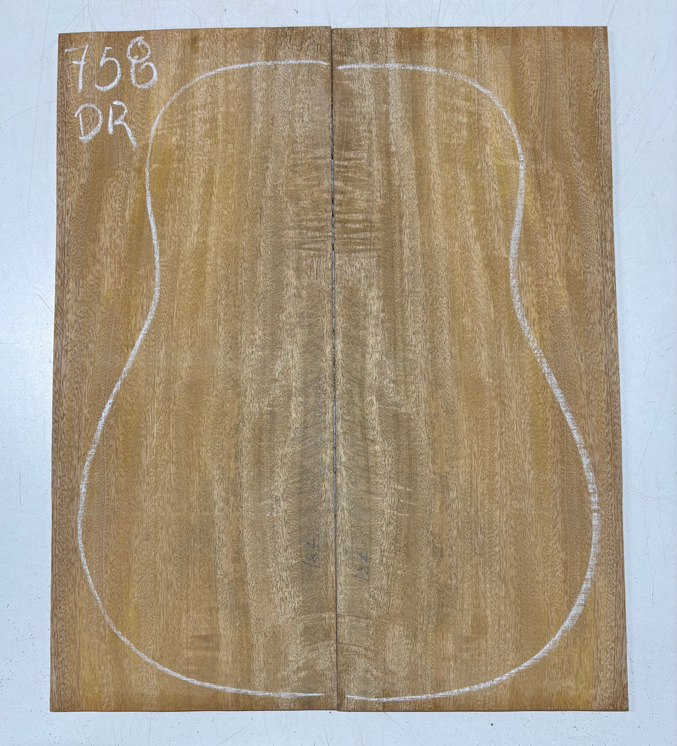 Juego de fondo y aros de guitarra de grado AAAA Dreadnought de palisandro de la India Oriental #61 