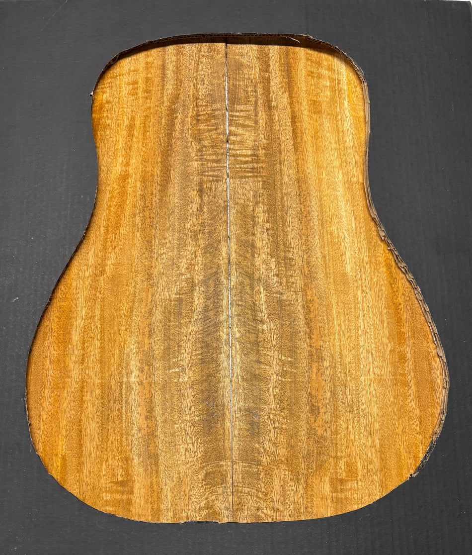 Juego de fondo y aros de guitarra de grado AAAA Dreadnought de palisandro de la India Oriental #61 