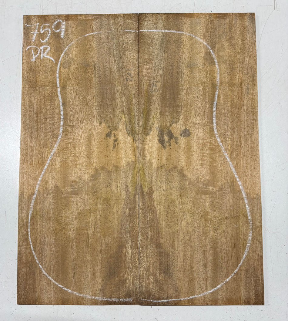 Juego de fondo y aros de guitarra de grado AAAA Dreadnought de palisandro de la India Oriental #61 