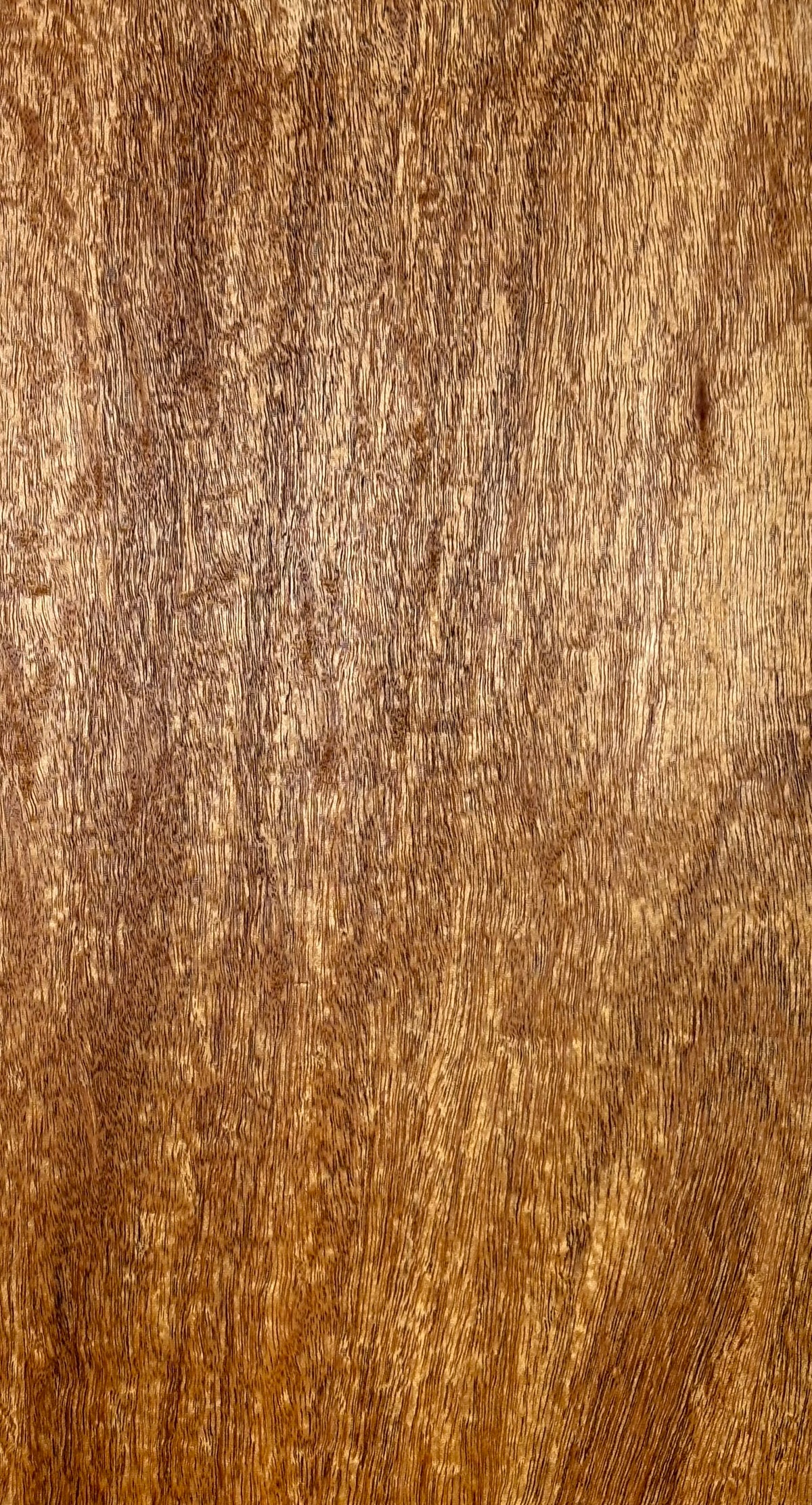 Rare Peacock Flame Mahogany Guitar Drop Top 21" x 7-1/4" x 3/8" #401 - Exotic Wood Zone