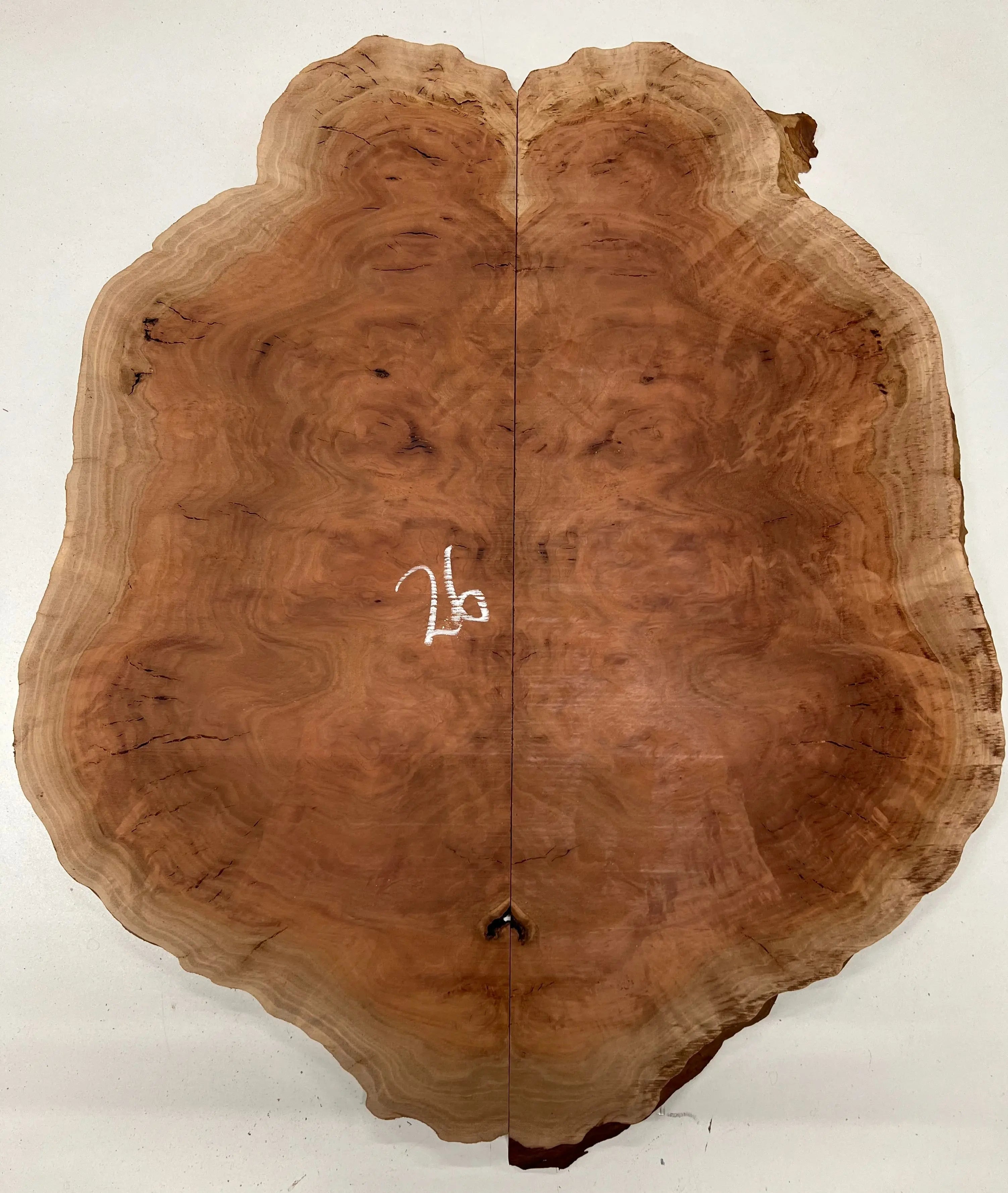 Red Gum Burl Bookmatched Guitar Drop Tops | 21" x 14" x 3/8" - #26 - Exotic Wood Zone - Buy online Across USA 