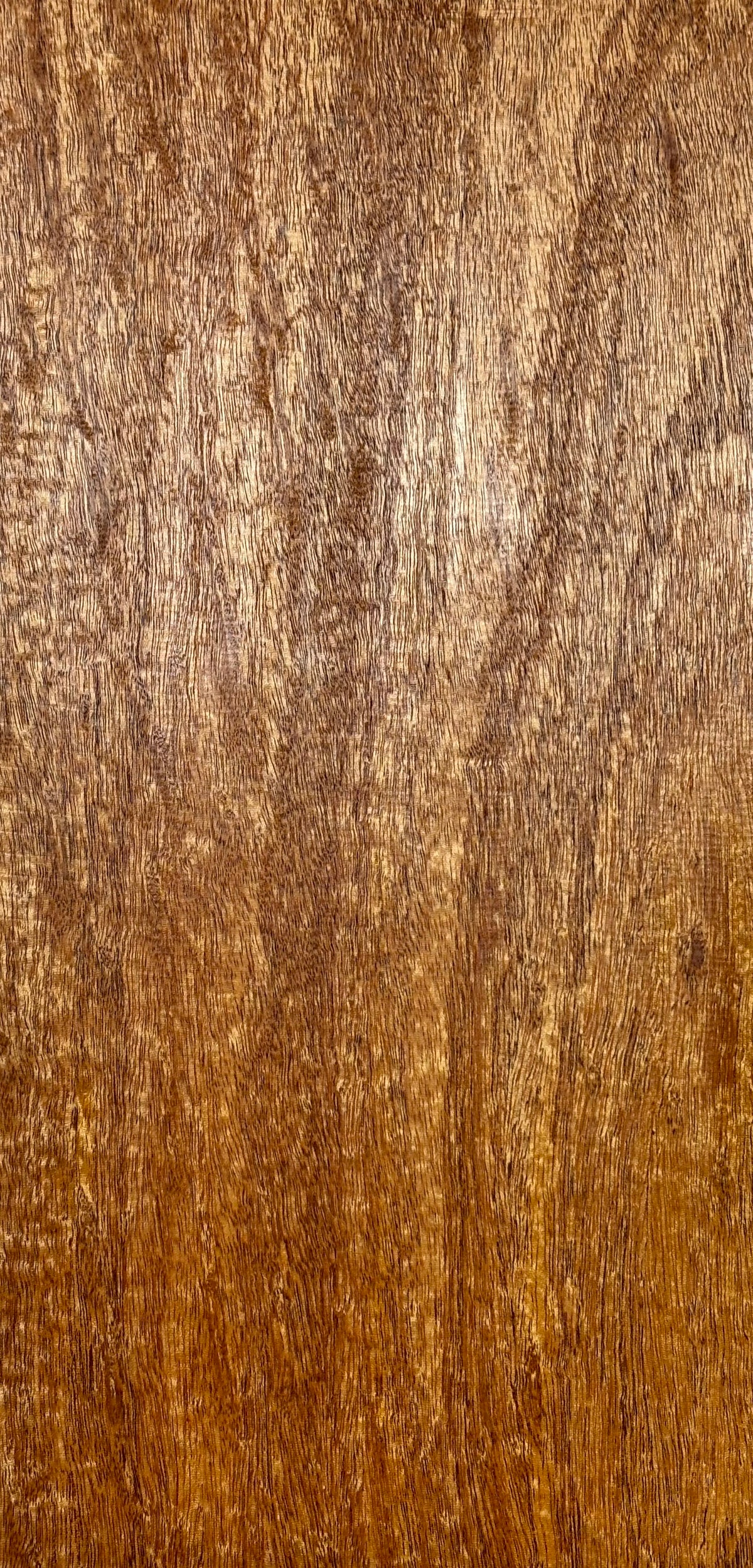 Rare Peacock Flame Mahogany Guitar Drop Top 21" x 7-1/4" x 3/8" #402 Exotic Wood Zone 