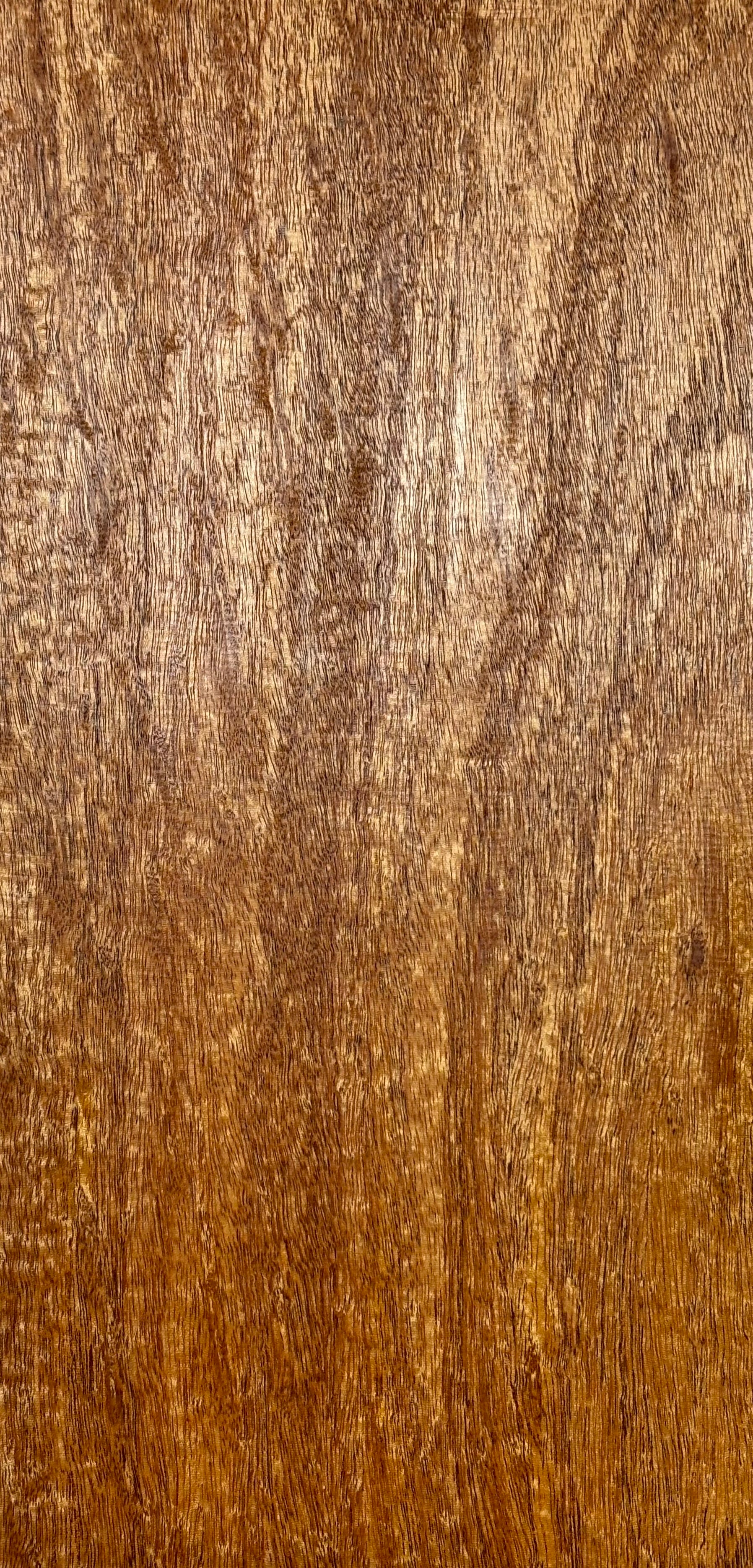 Rare Peacock Flame Mahogany Guitar Drop Top 21" x 7-1/4" x 3/8" #402 Exotic Wood Zone 