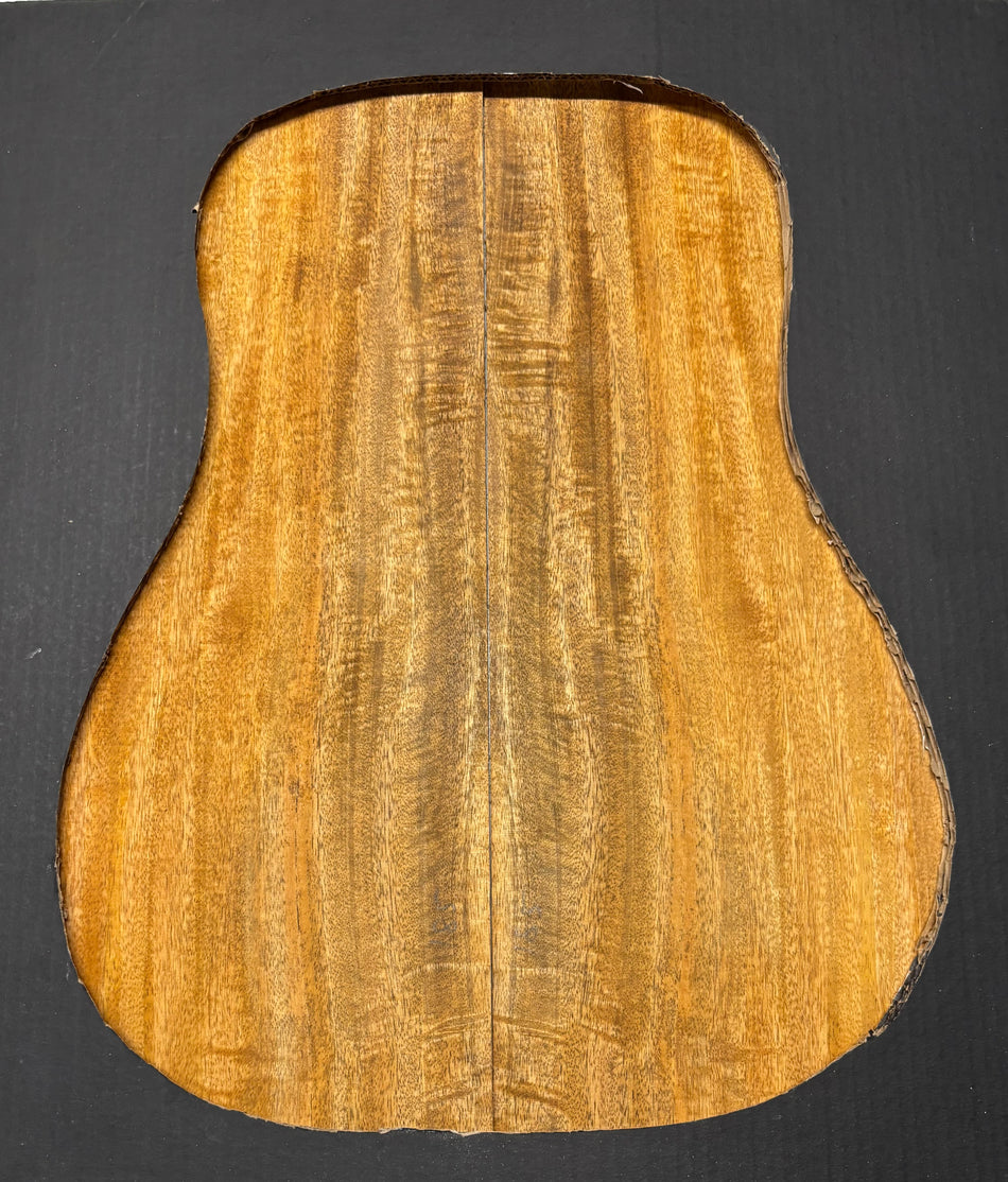 Juego de fondo y aros de guitarra de grado AAAA Dreadnought de palisandro de la India Oriental #61 