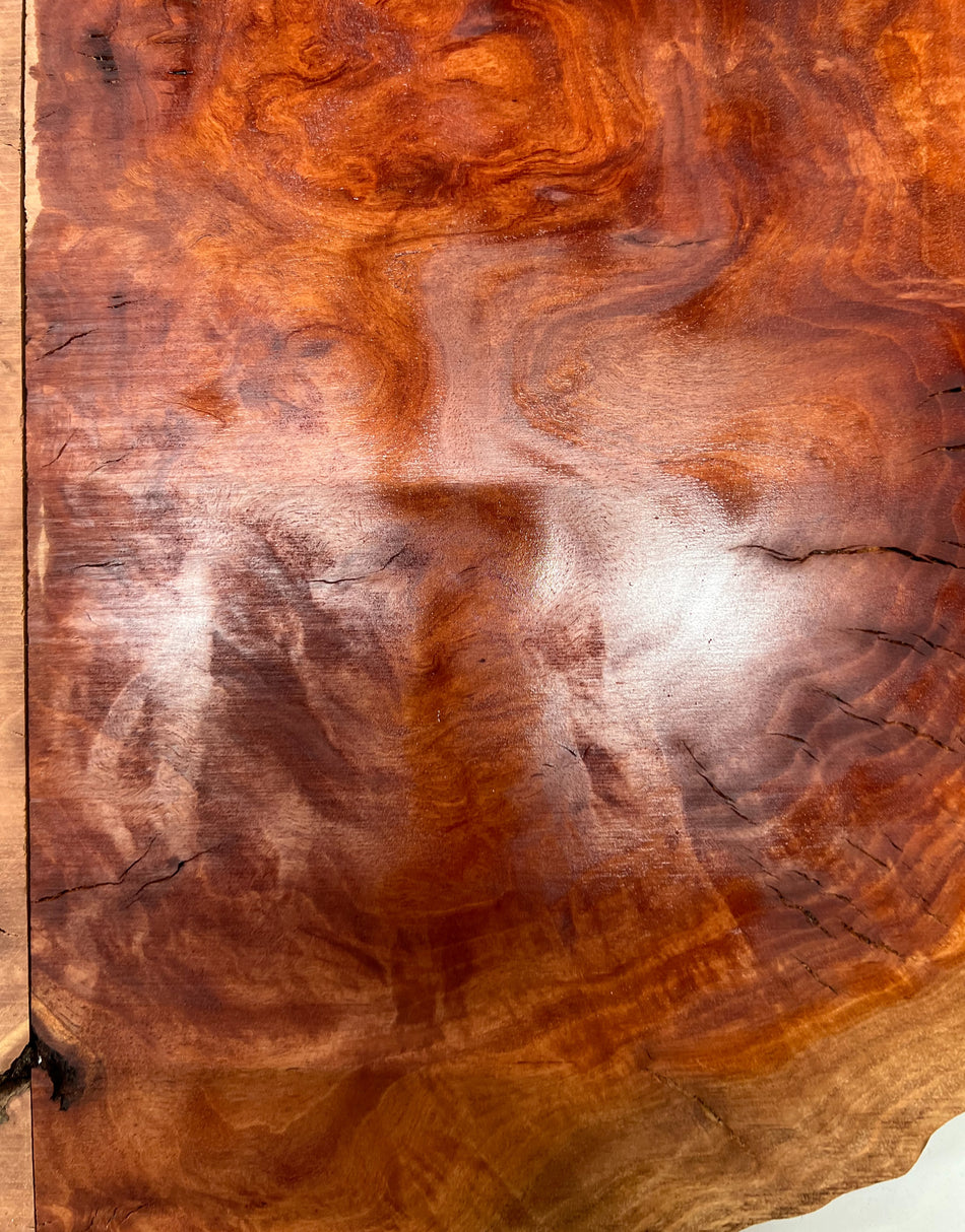 Red Gum Burl Bookmatched Guitar Drop Tops | 21" x 14" x 3/8" - #26 - Exotic Wood Zone - Buy online Across USA 