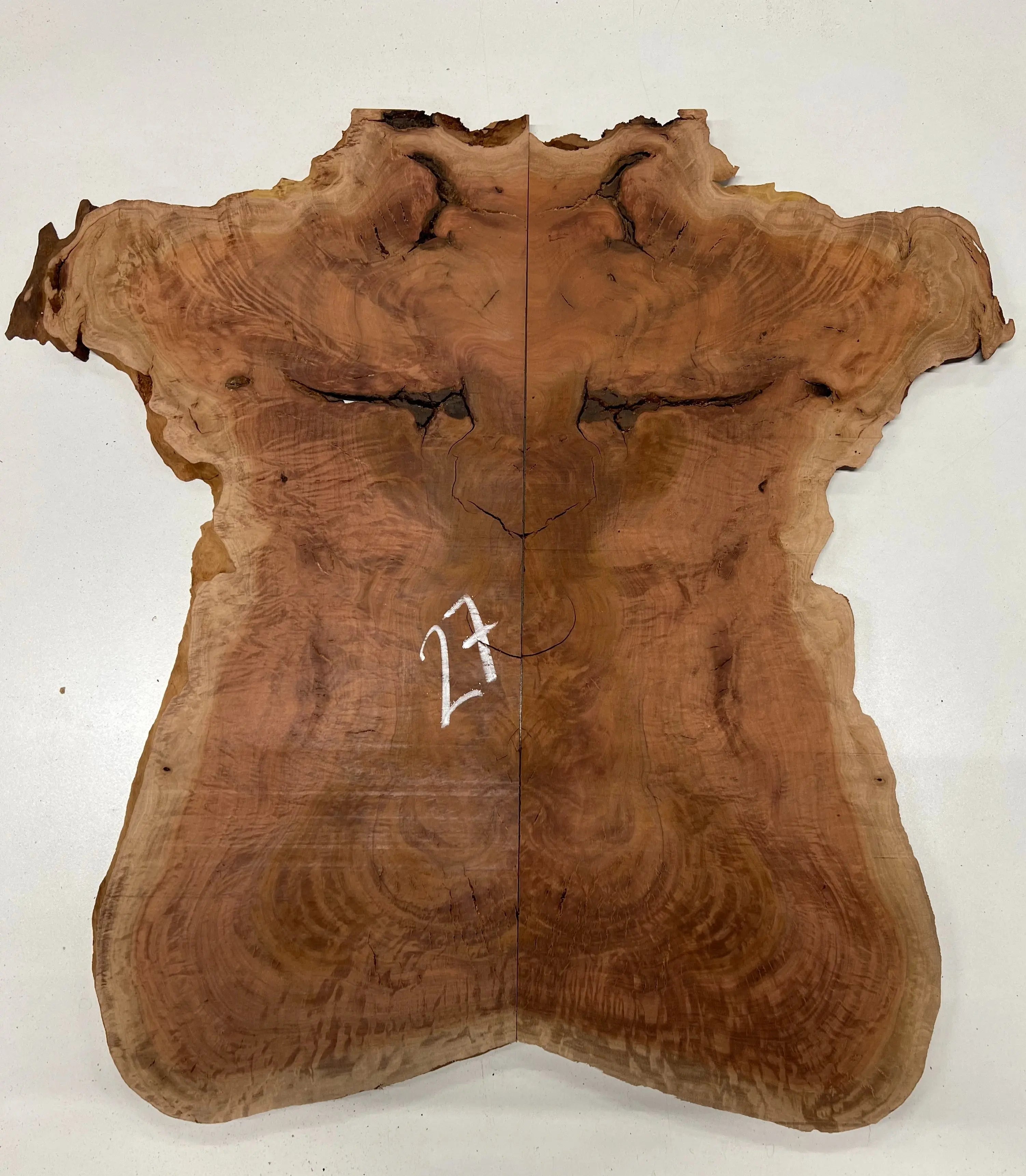 Red Gum Burl Bookmatched Guitar Drop Tops | 21" x 14" x 3/8" - #27 - Exotic Wood Zone - Buy online Across USA 