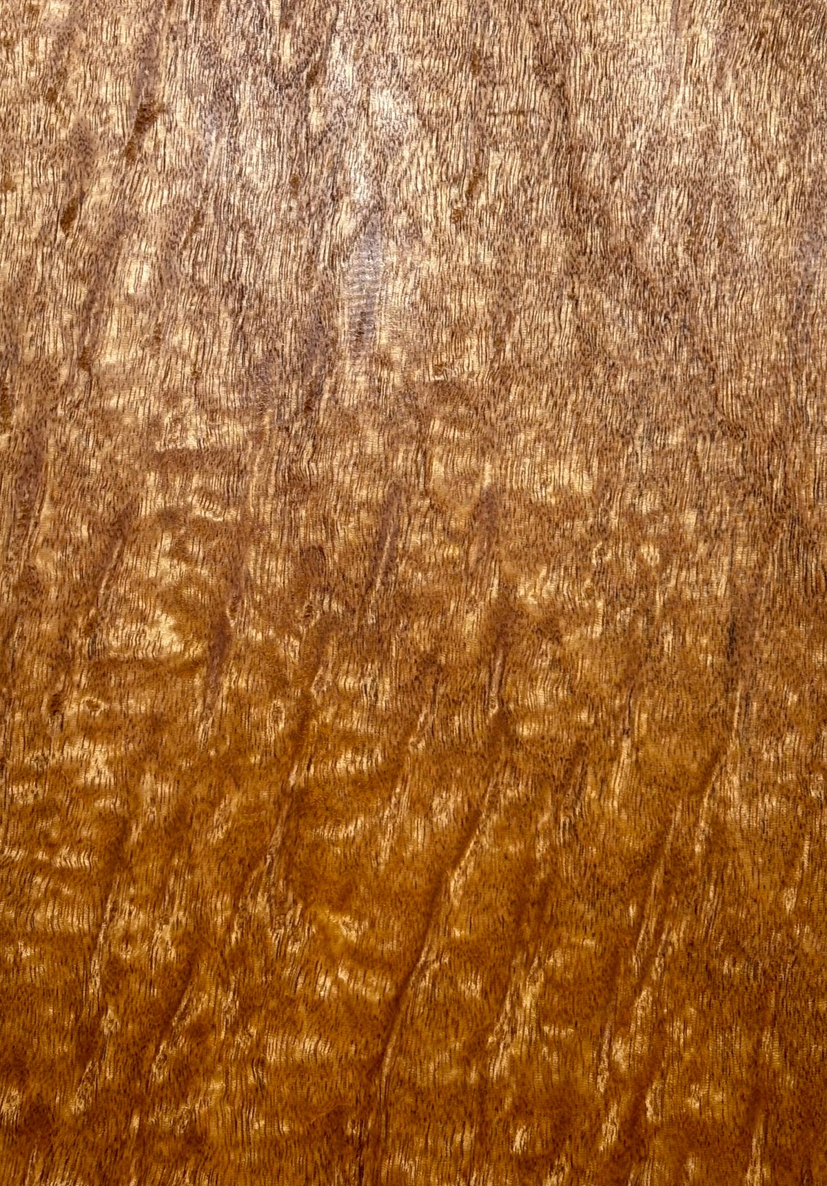 Rare Peacock Flame Mahogany Guitar Drop Top 21" x 7-1/4" x 3/8" #405 Exotic Wood Zone 