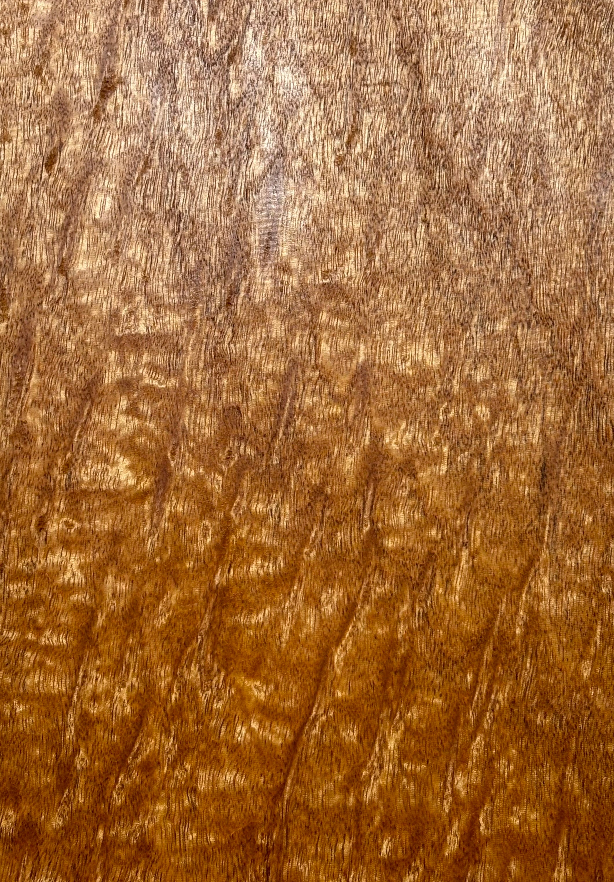 Rare Peacock Flame Mahogany Guitar Drop Top 21" x 7-1/4" x 3/8" #405 Exotic Wood Zone 