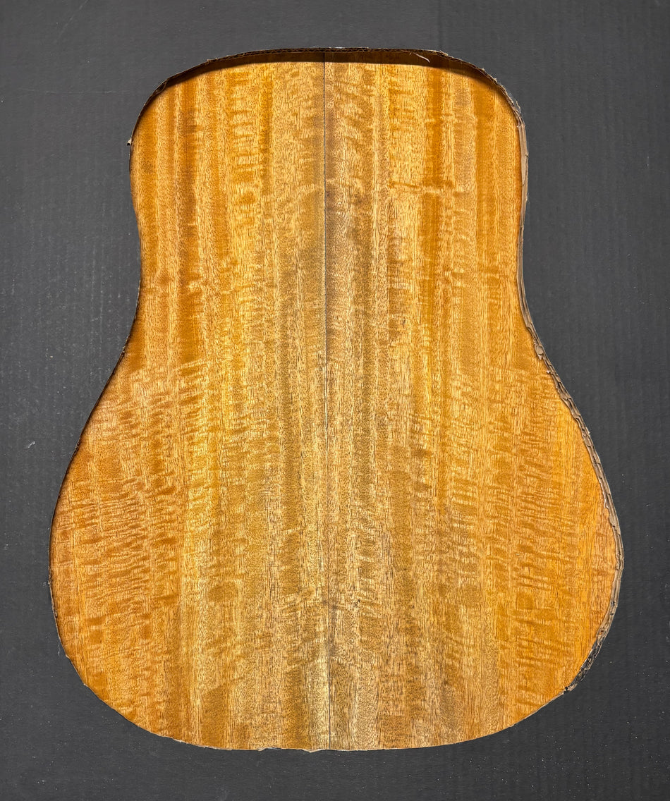 Juego de fondo y aros de guitarra de grado AAAA Dreadnought de palisandro de la India Oriental #61 