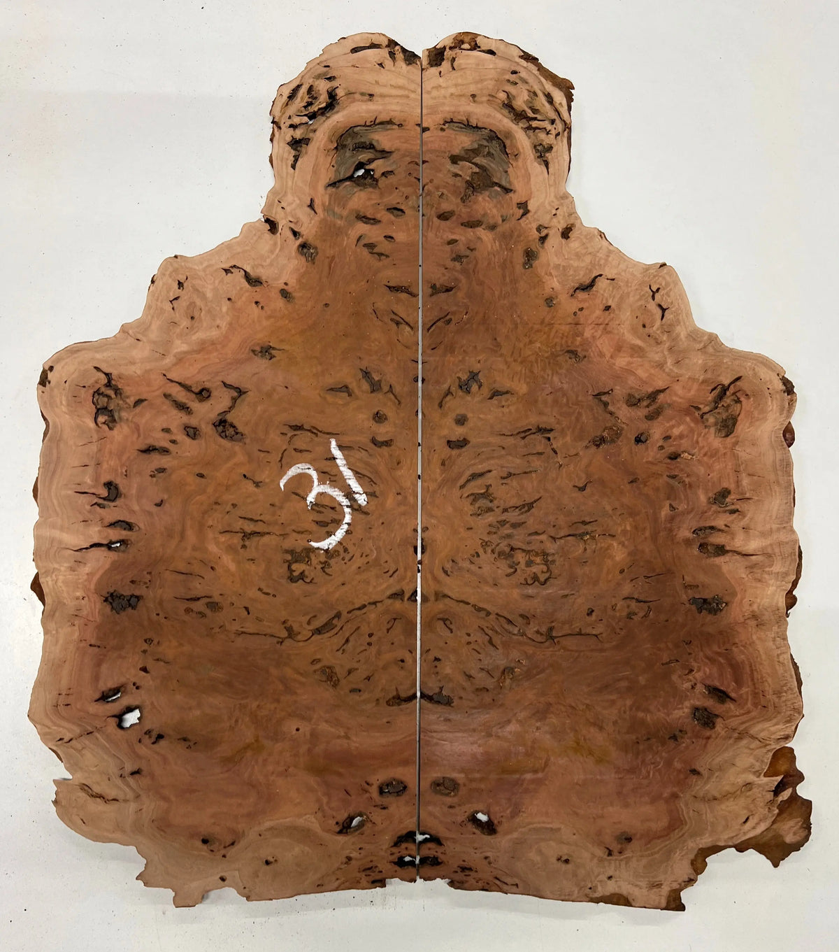 Red Gum Burl Guitar Drop Tops | 21" x 14" x 3/8" - #31 - Exotic Wood Zone - Buy online Across USA 