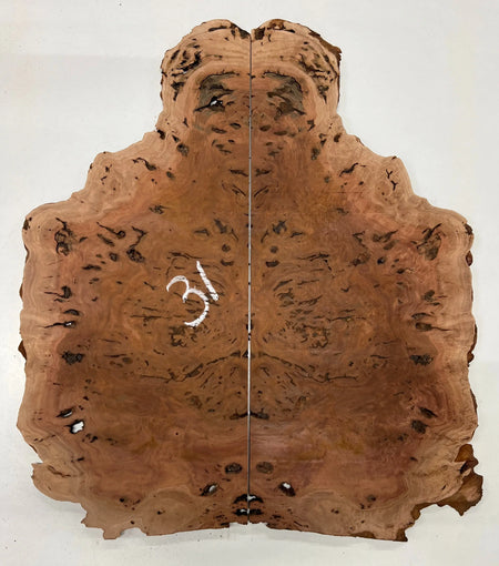 Red Gum Burl Guitar Drop Tops | 21" x 14" x 3/8" - #31 - Exotic Wood Zone - Buy online Across USA 