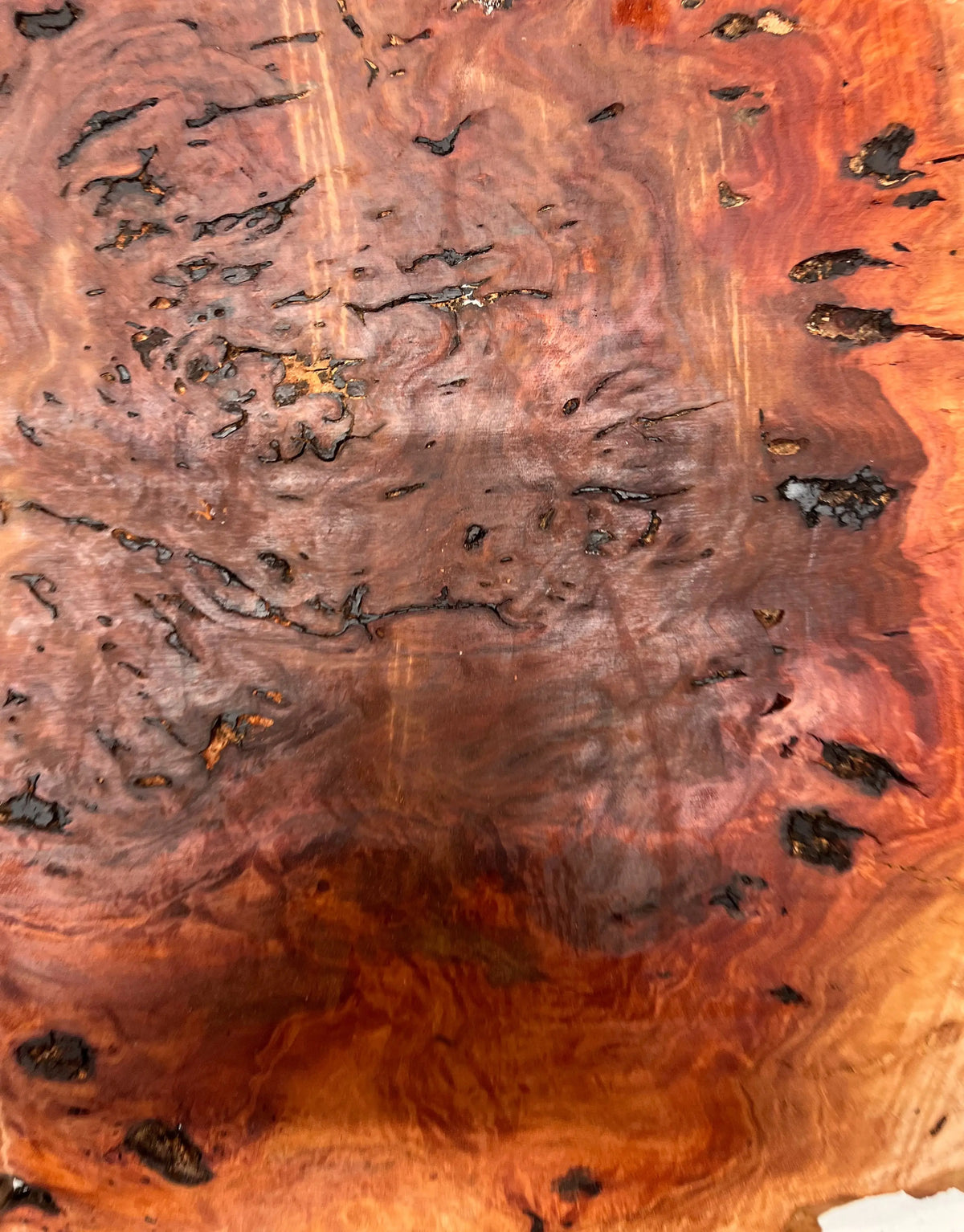 Red Gum Burl Guitar Drop Tops | 21" x 14" x 3/8" - #31 - Exotic Wood Zone - Buy online Across USA 