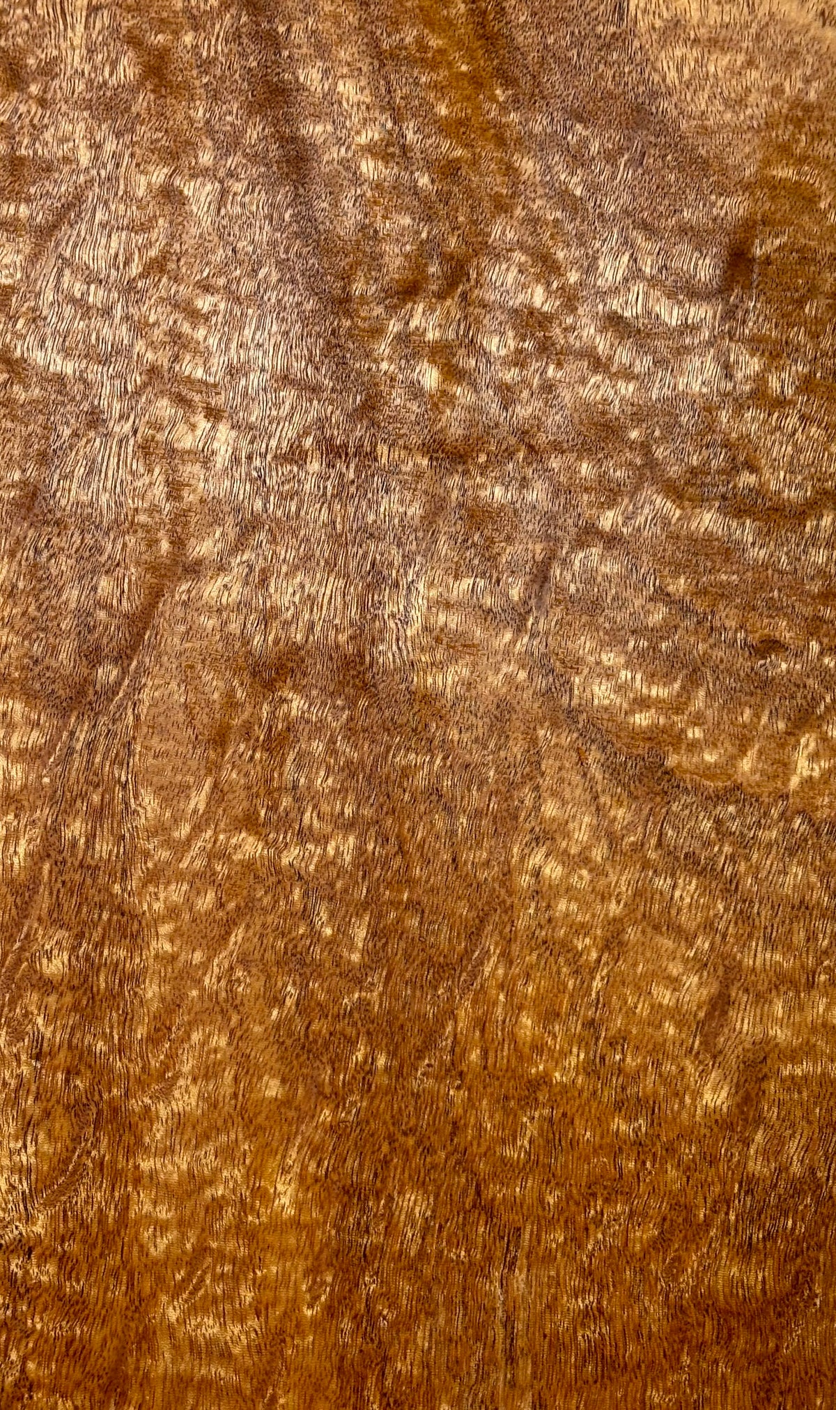 Rare Peacock Flame Mahogany Guitar Drop Top 21" x 7-1/4" x 3/8" #407 - Exotic Wood Zone