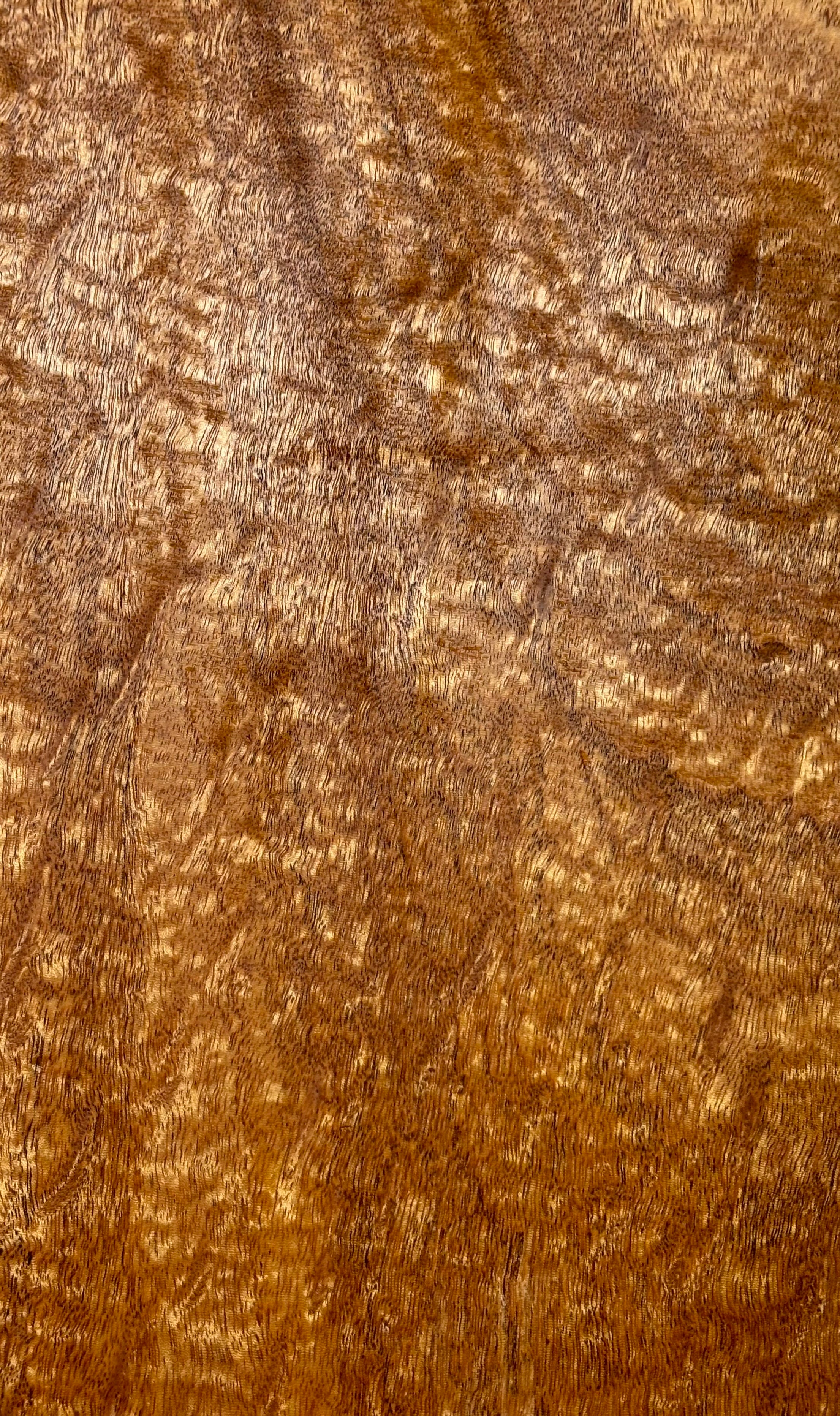 Rare Peacock Flame Mahogany Guitar Drop Top 21" x 7-1/4" x 3/8" #407 - Exotic Wood Zone