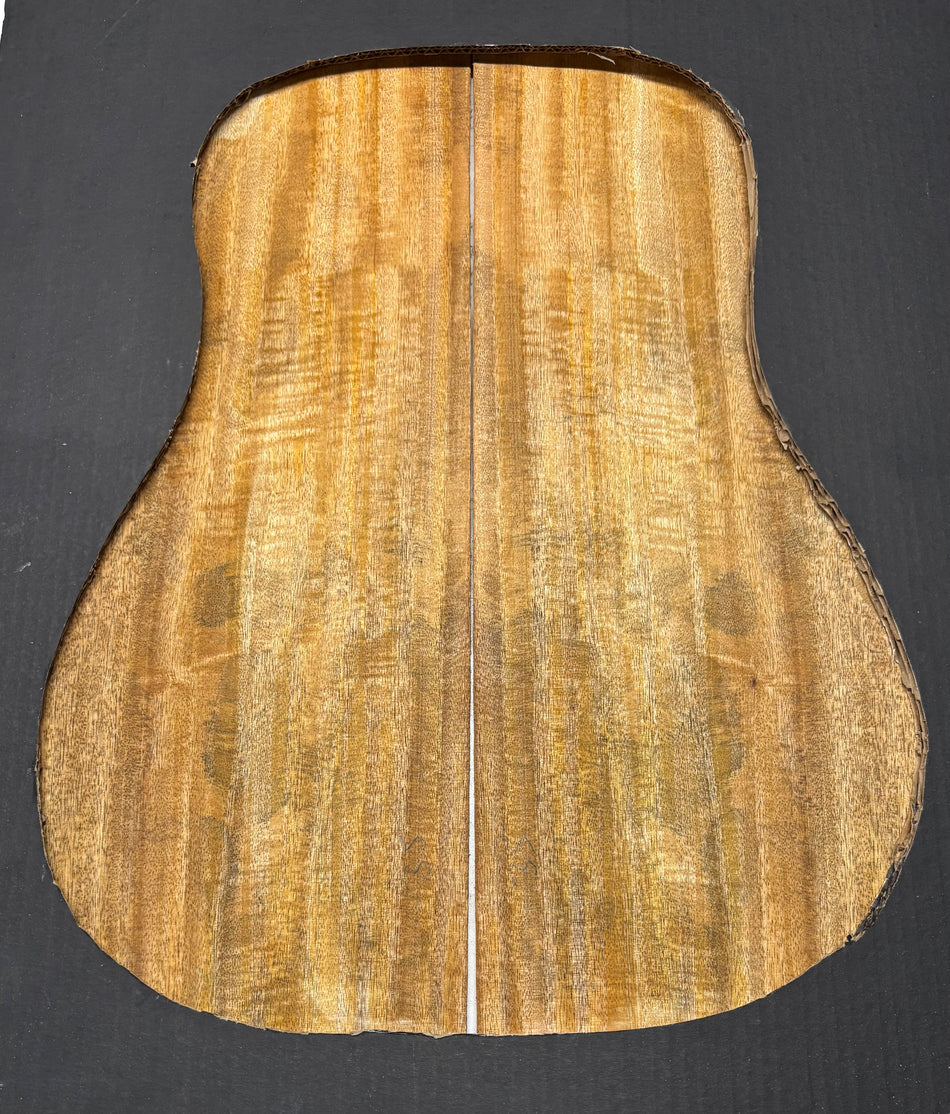 Golden Flame Mango Classical Guitar Back and Side Set #804