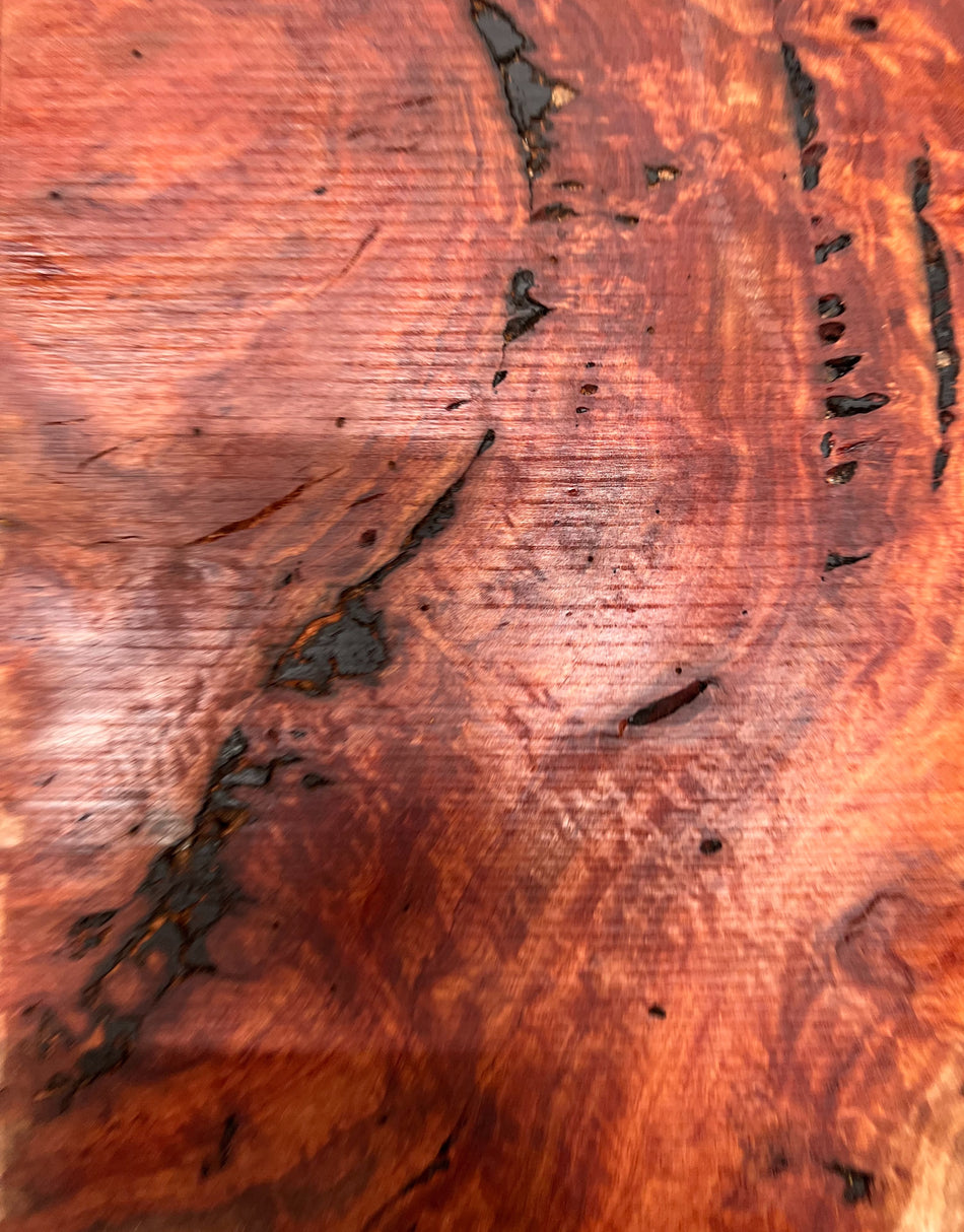 Red Gum Burl Guitar Drop Tops | 21" x 14" x 3/8" - #37 - Exotic Wood Zone - Buy online Across USA 