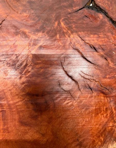 Red Gum Burl Guitar Drop Tops | 21" x 14" x 3/8" - #38 - Exotic Wood Zone - Buy online Across USA 