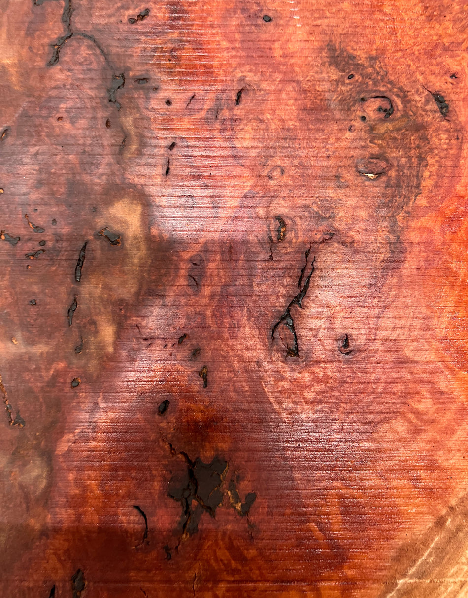 Red Gum Burl Book Matched Guitar Drop Tops | 21" x 14" x 3/8" - #39 - Exotic Wood Zone - Buy online Across USA 