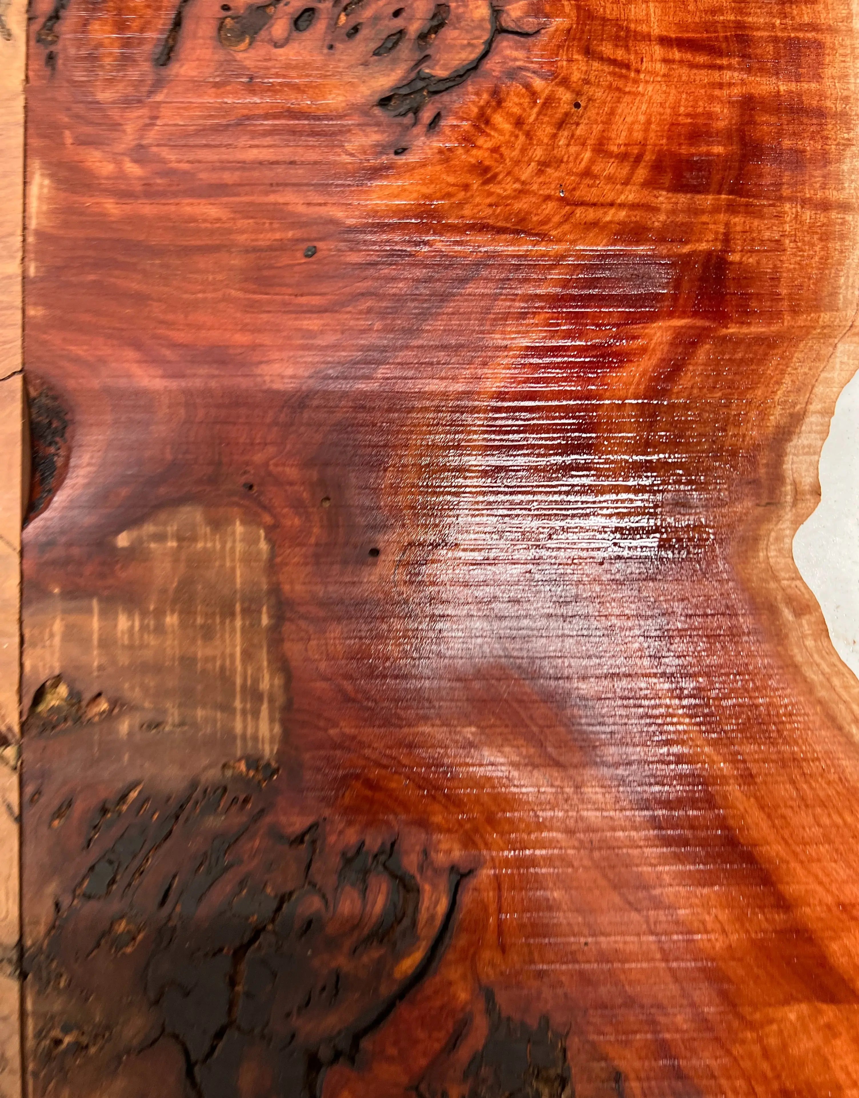 Red Gum Burl Book Matched Guitar Drop Tops | 21" x 14" x 3/8" #41 - Exotic Wood Zone - Buy online Across USA 