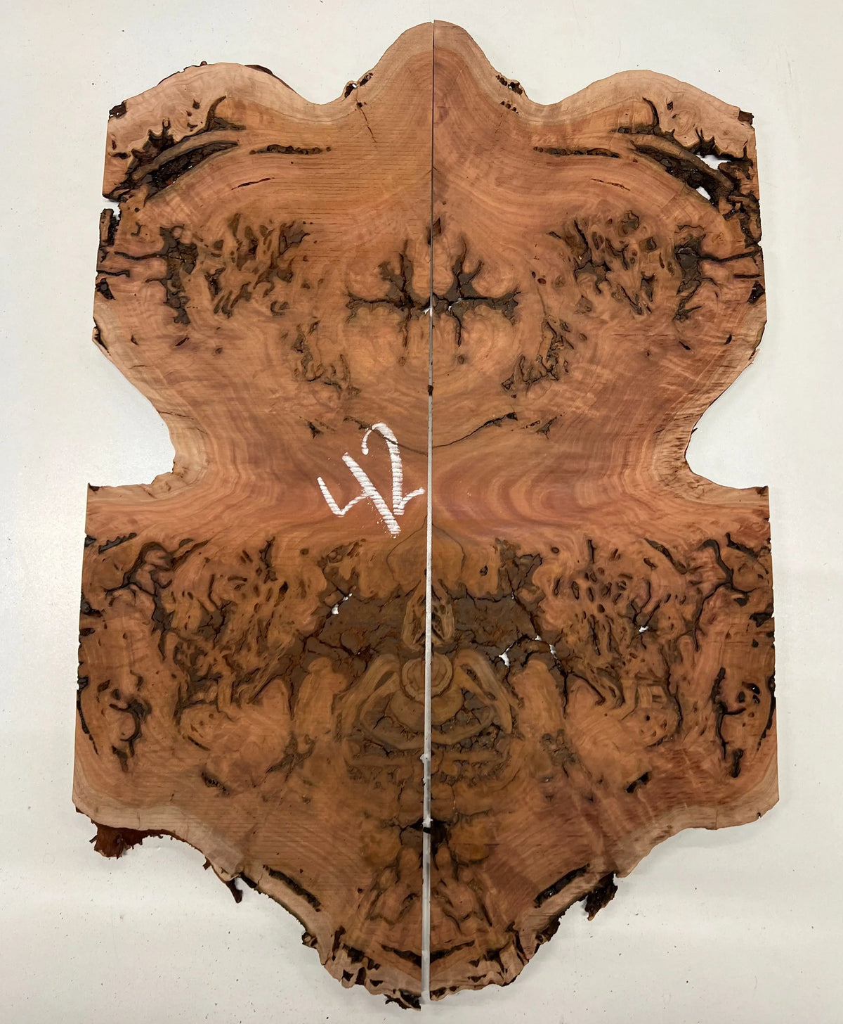 Red Gum Burl Book Matched Guitar Drop Tops | 21" x 14" x 3/8" #42 - Exotic Wood Zone - Buy online Across USA 