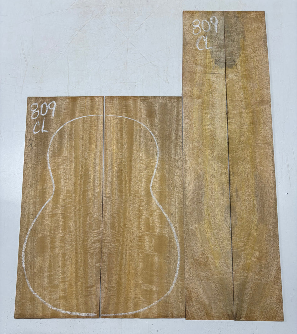 Juego de fondo y aros de guitarra de grado AAAA Dreadnought de palisandro de la India Oriental #61 