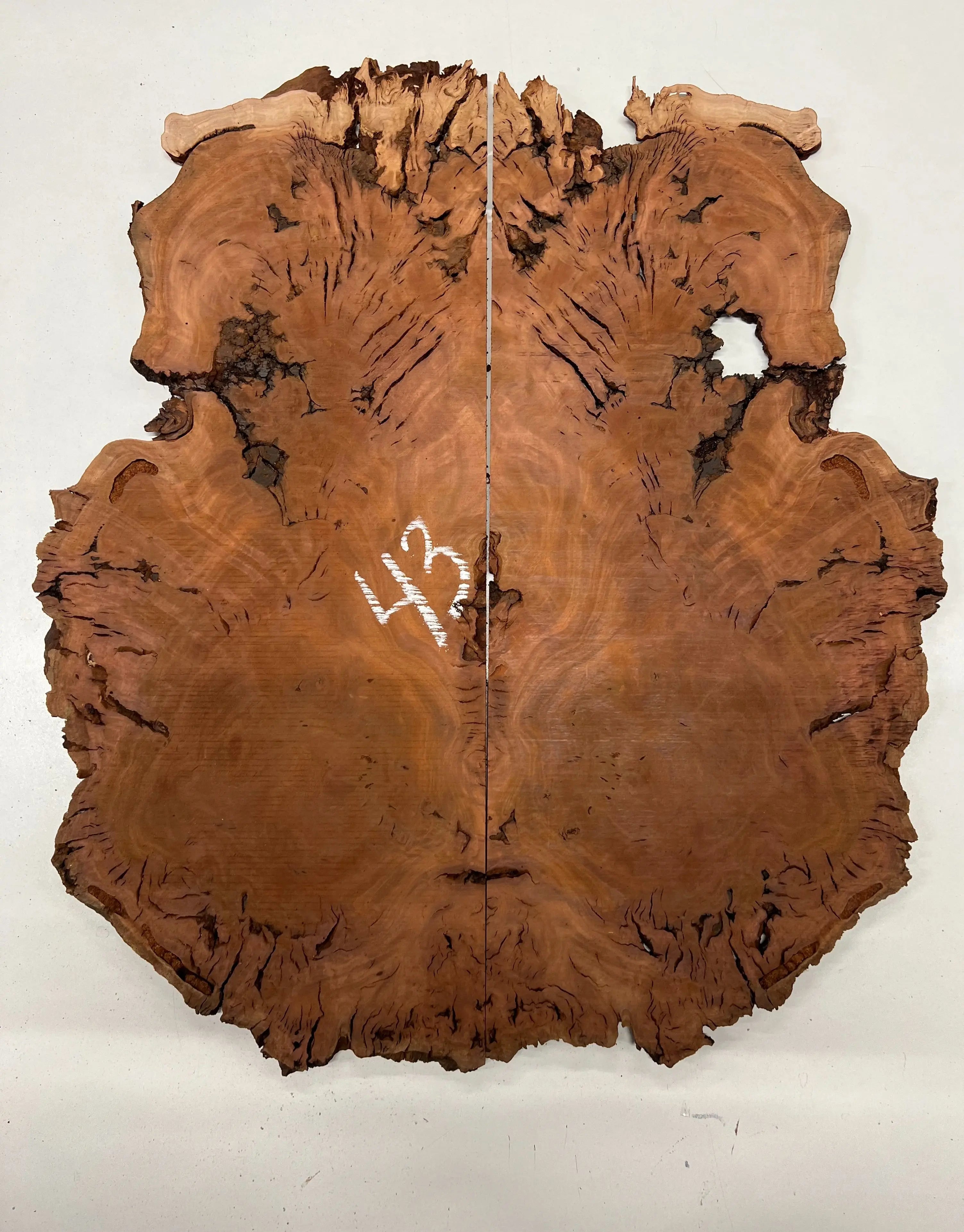 Red Gum Burl Book Matched Guitar Drop Tops | 21" x 14" x 3/8" #43 - Exotic Wood Zone - Buy online Across USA 