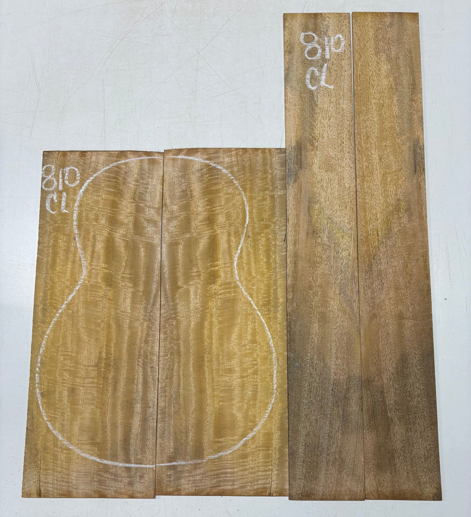 Juego de fondo y aros de guitarra de grado AAAA Dreadnought de palisandro de la India Oriental #61 