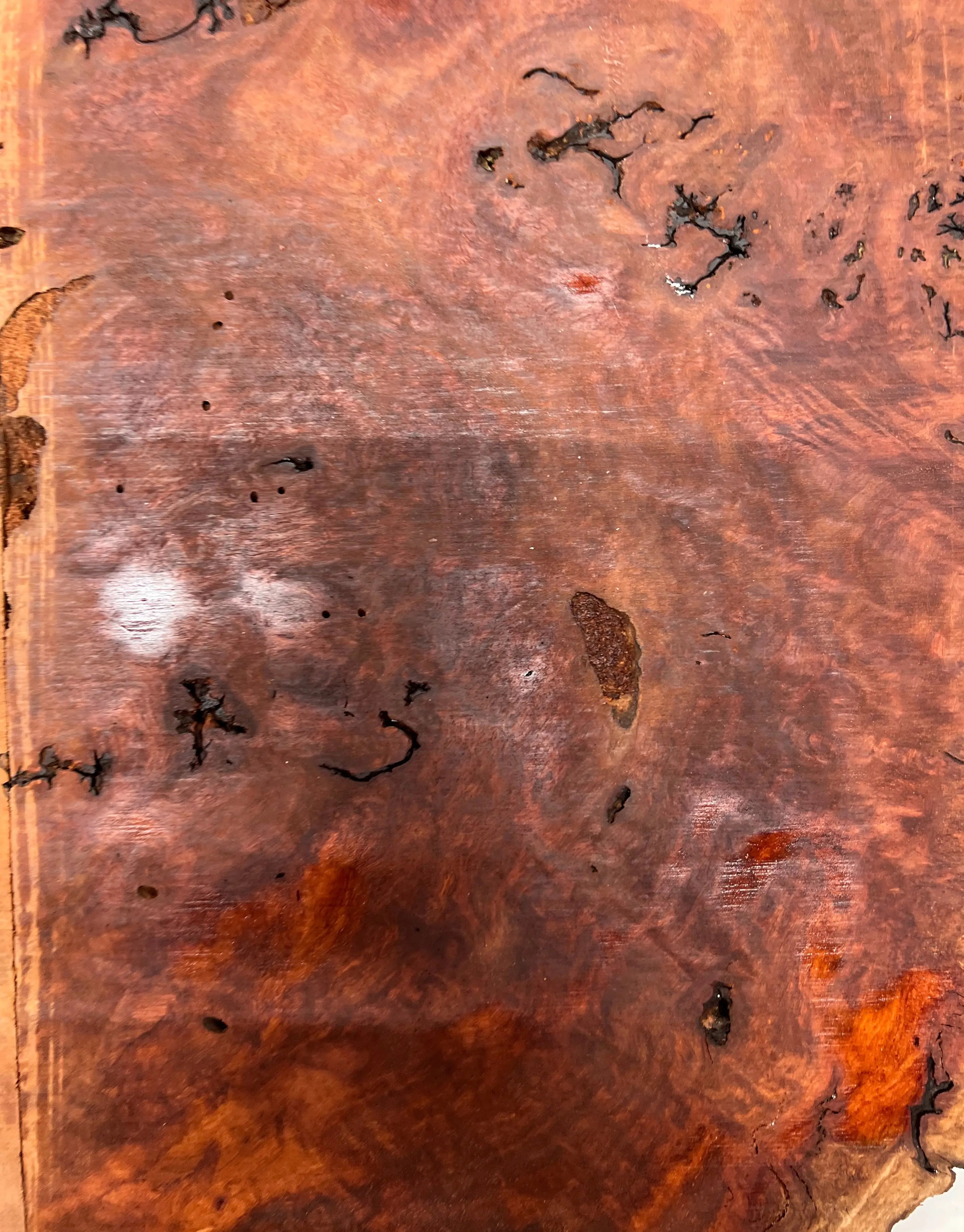 Red Gum Burl Book Matched Guitar Drop Tops | 21" x 14" x 3/8" #44 - Exotic Wood Zone - Buy online Across USA 