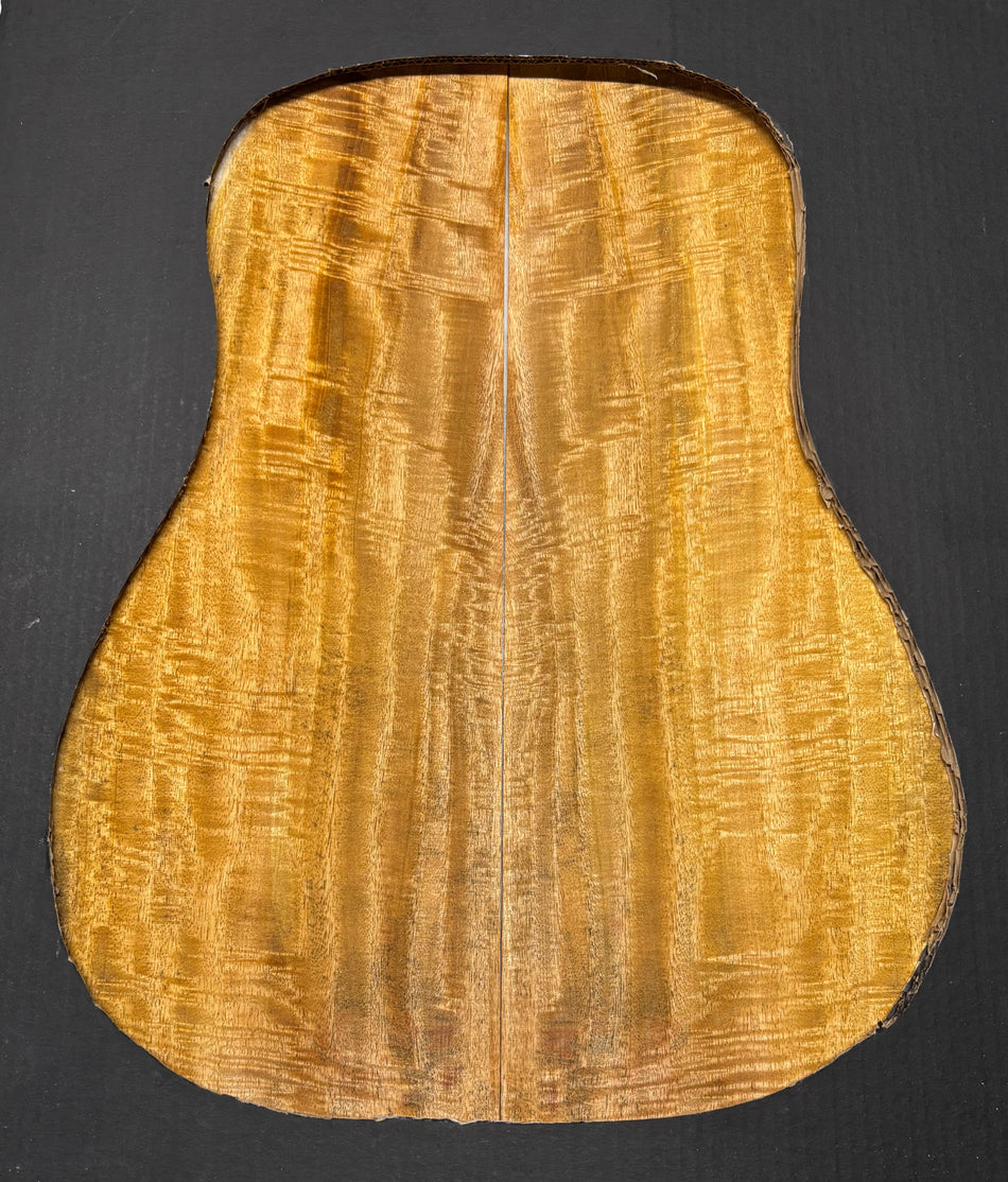 Juego de fondo y aros de guitarra de grado AAAA Dreadnought de palisandro de la India Oriental #61 