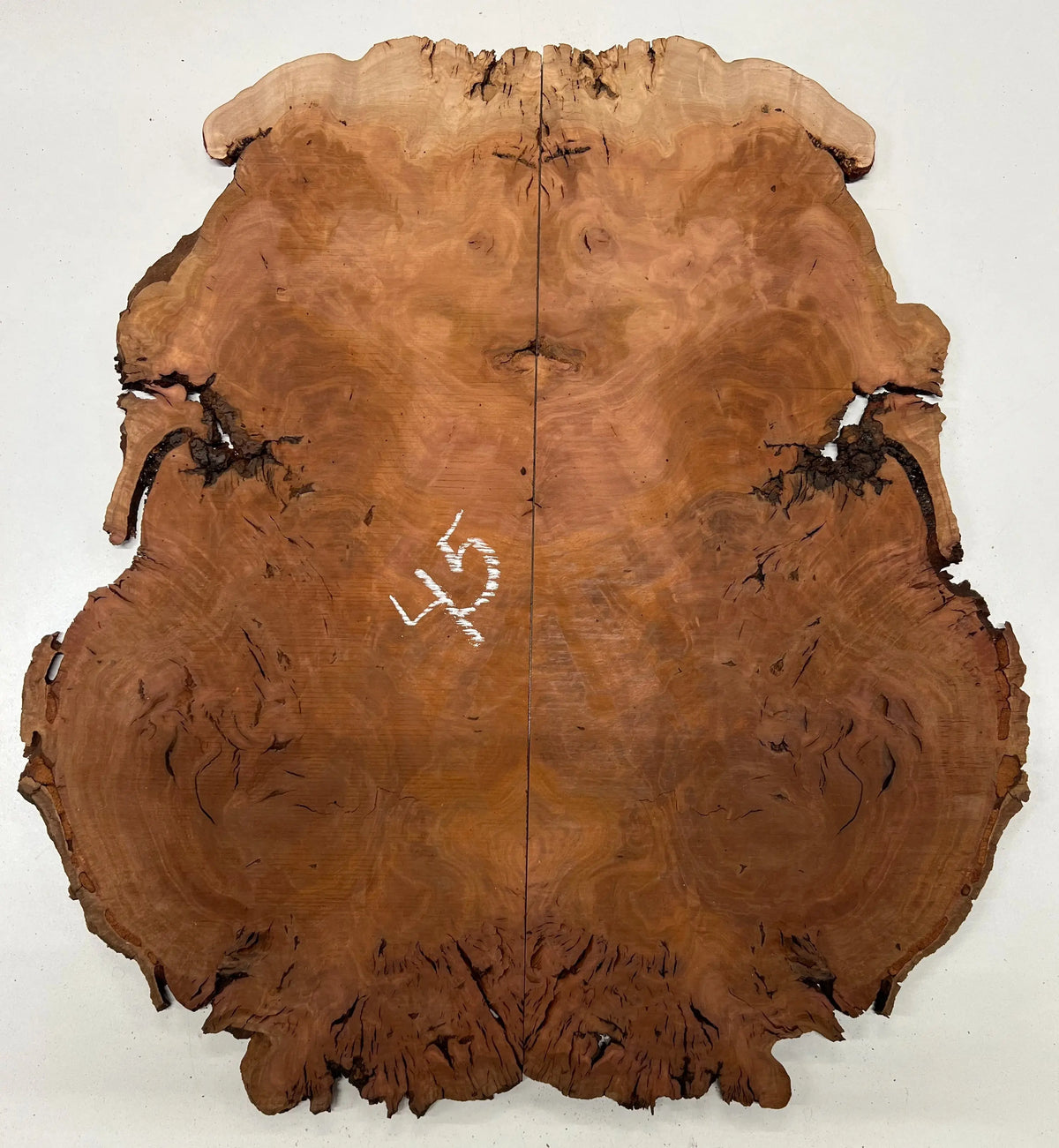 Red Gum Burl Book Matched Guitar Drop Tops | 21" x 14" x 3/8" #45 - Exotic Wood Zone - Buy online Across USA 