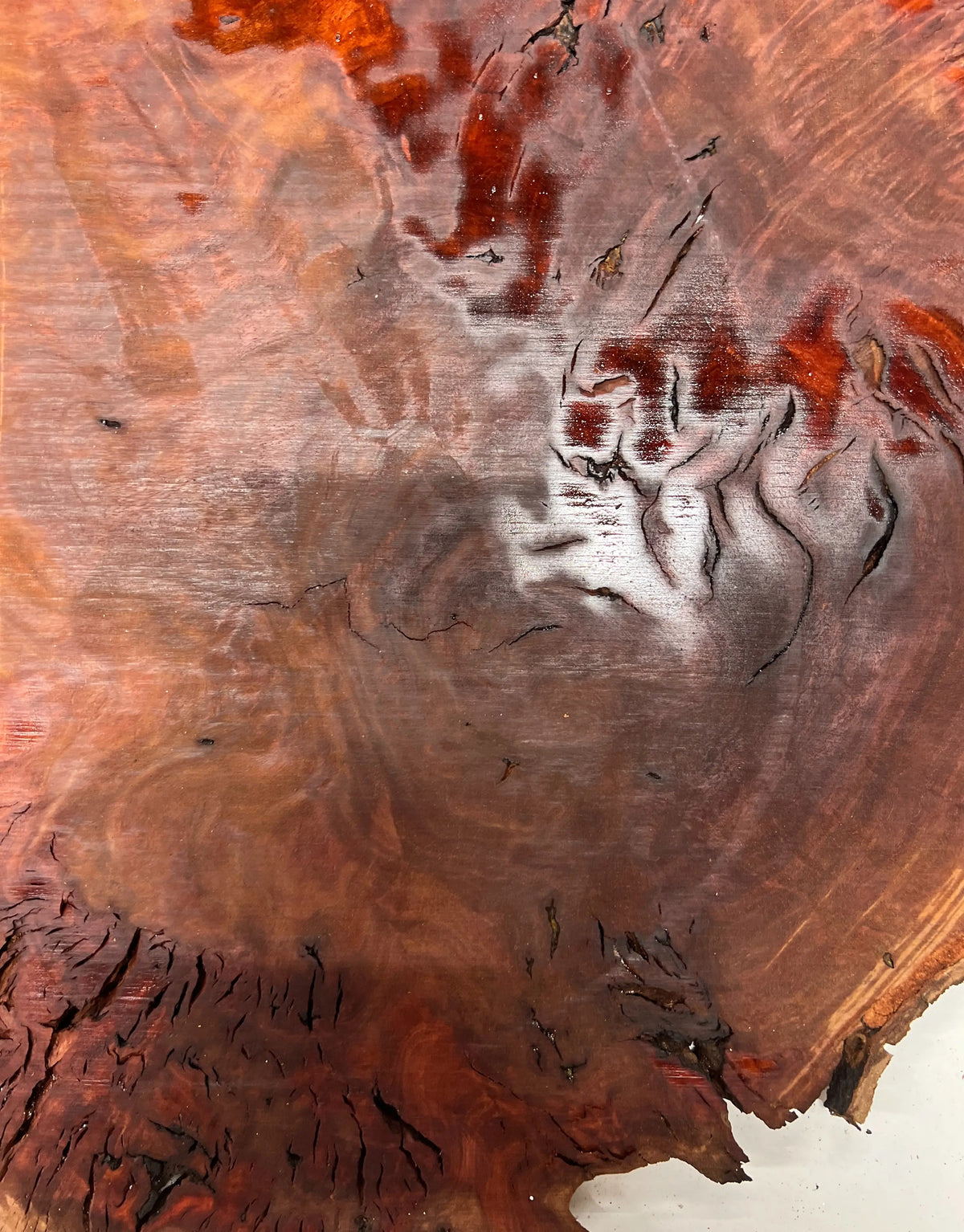 Red Gum Burl Book Matched Guitar Drop Tops | 21" x 14" x 3/8" #45 - Exotic Wood Zone - Buy online Across USA 