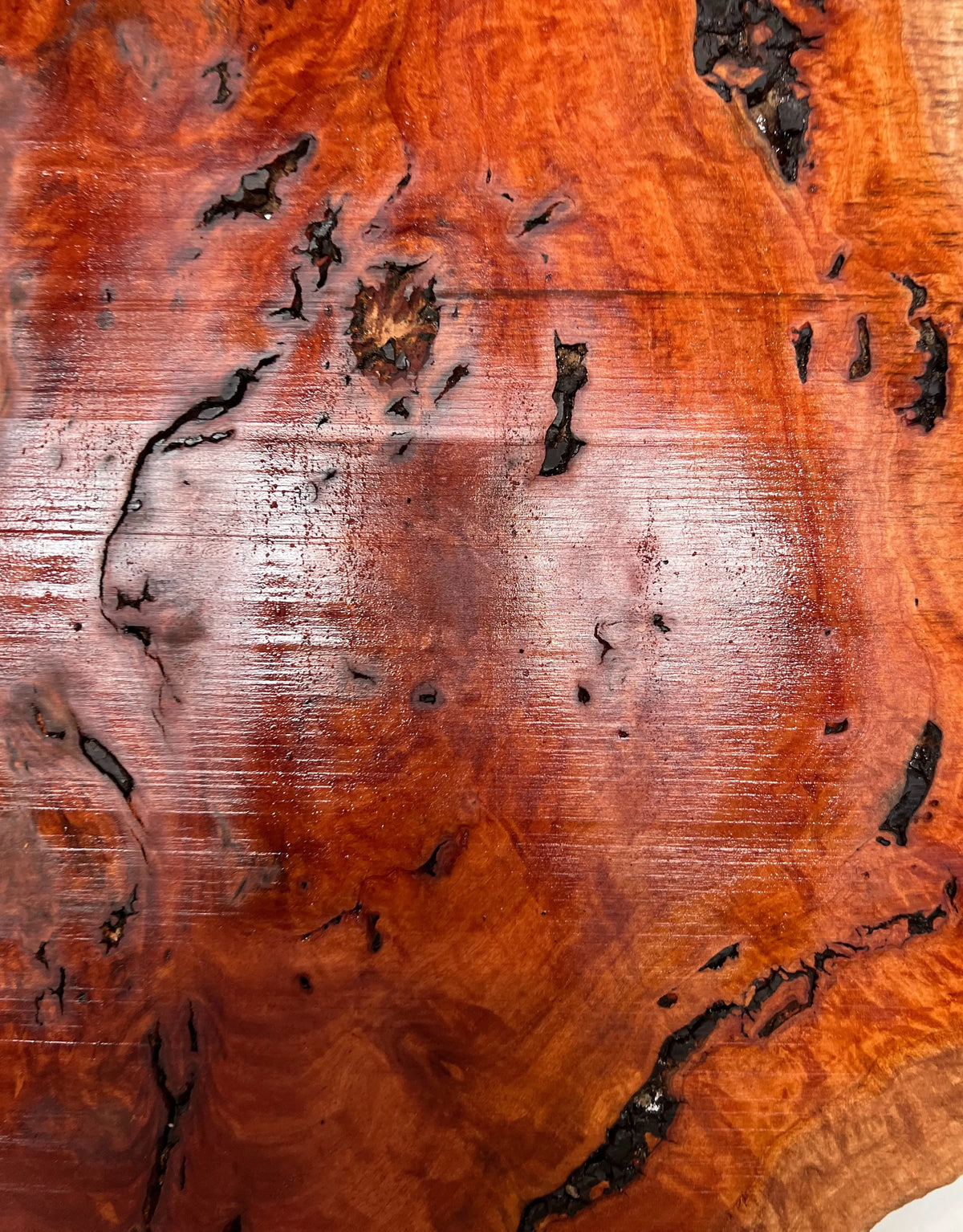 Red Gum Burl Book Matched Guitar Drop Tops | 21" x 14" x 3/8" #46 - Exotic Wood Zone - Buy online Across USA 