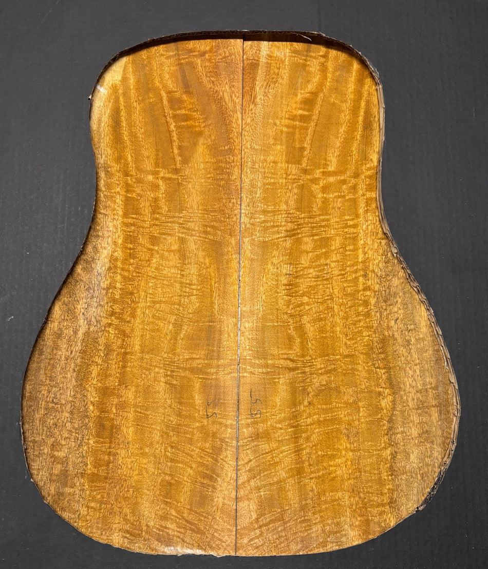 Juego de fondo y aros de guitarra de grado AAAA Dreadnought de palisandro de la India Oriental #61 