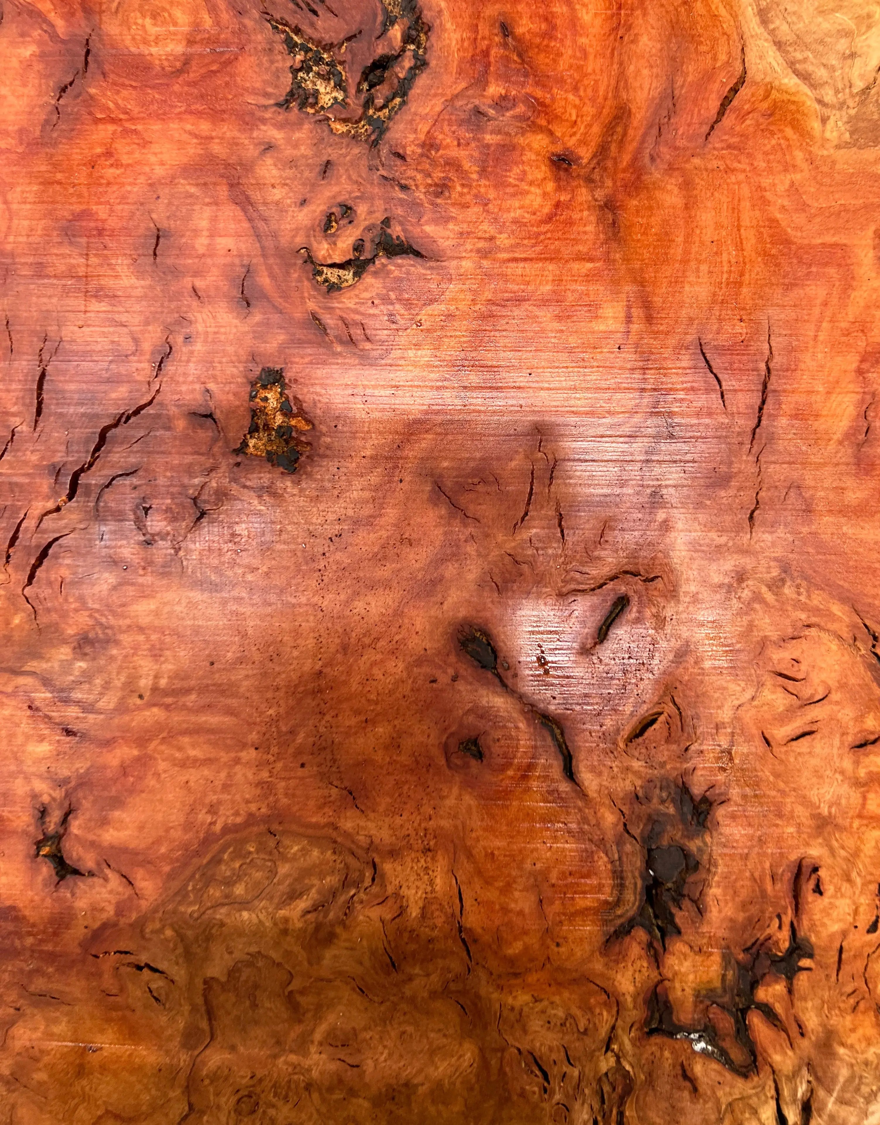 Red Gum Burl Book Matched Guitar Drop Tops | 21" x 14" x 3/8" #47 - Exotic Wood Zone - Buy online Across USA 