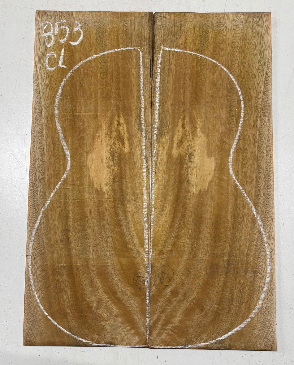 Juego de fondo y aros de guitarra de grado AAAA Dreadnought de palisandro de la India Oriental #61 