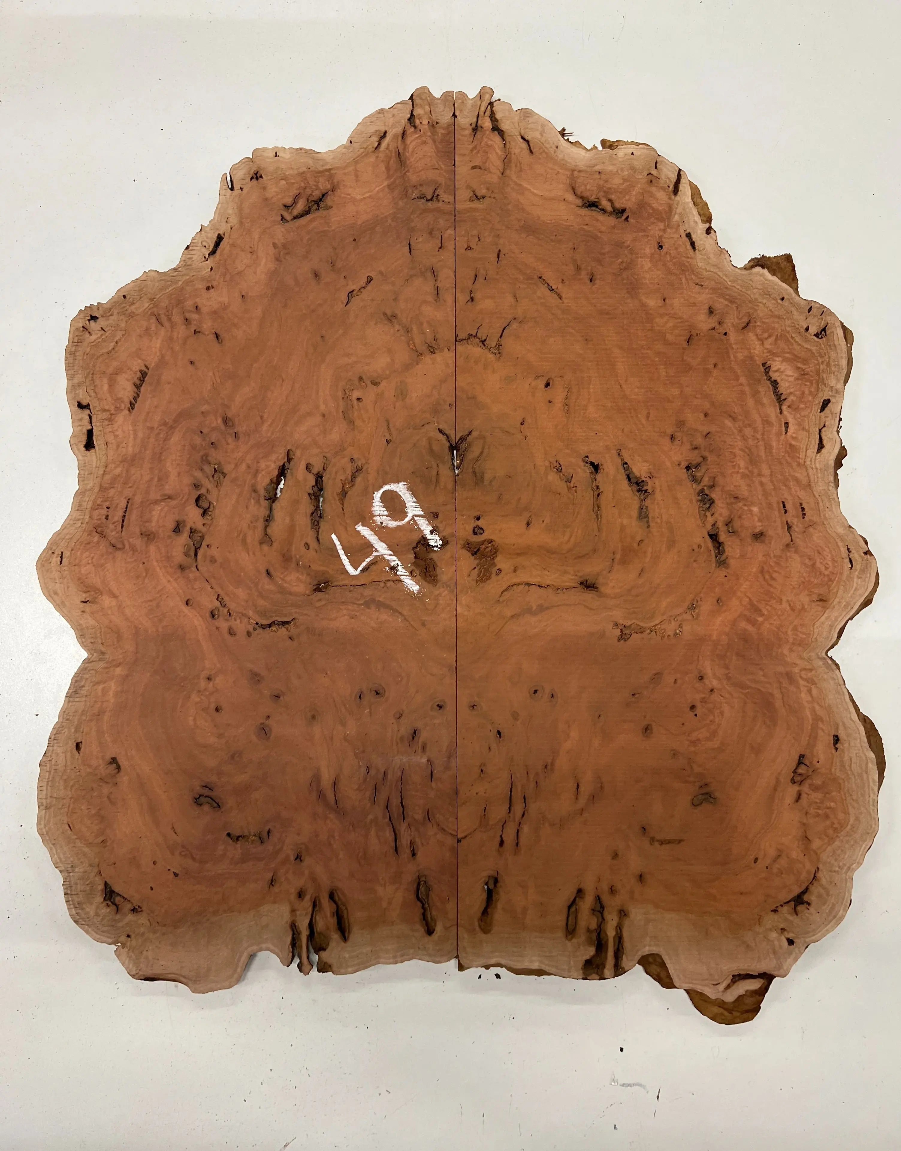 Red Gum Burl Book Matched Guitar Drop Tops | 21" x 14" x 3/8" #49 - Exotic Wood Zone - Buy online Across USA 