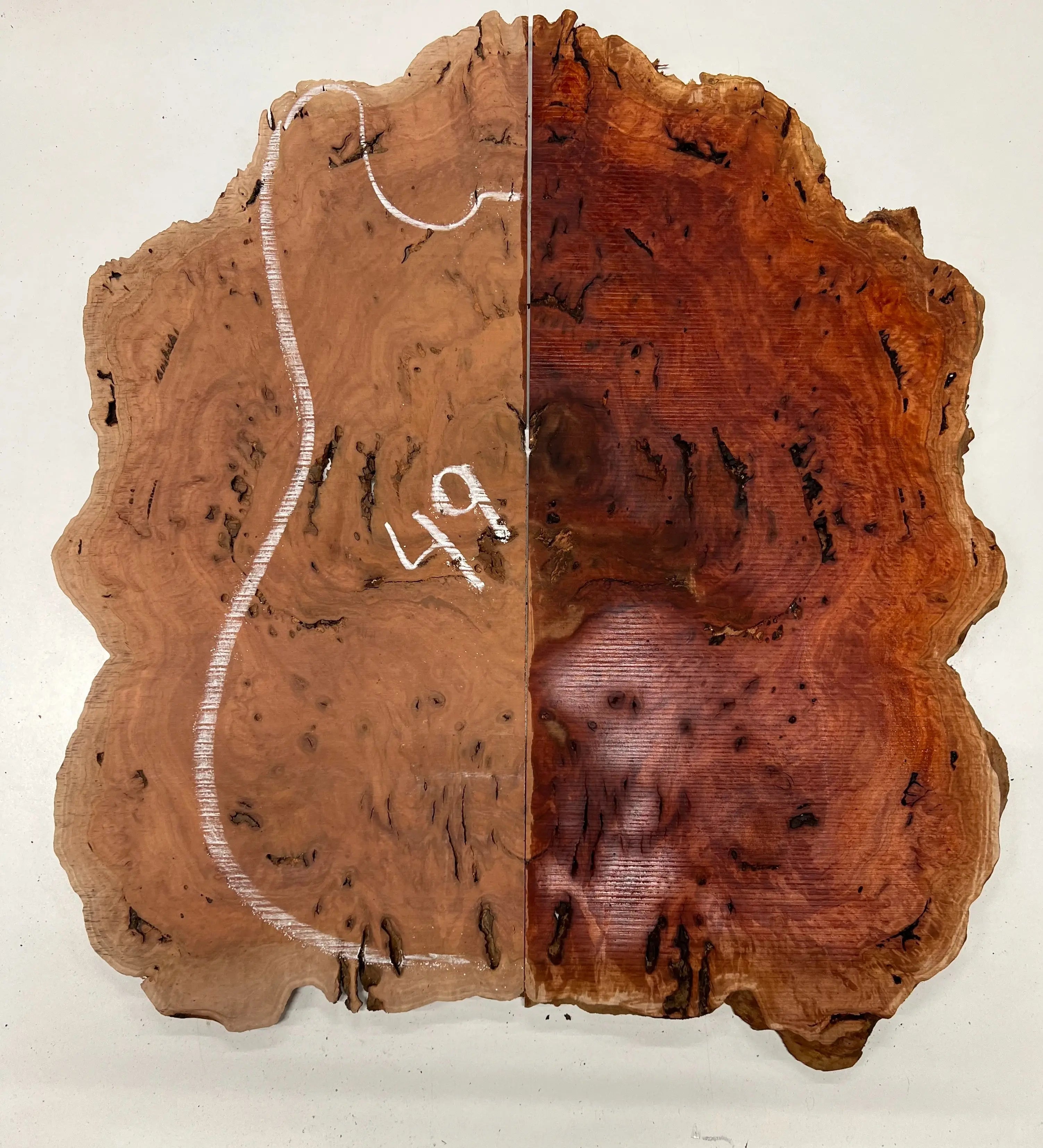 Red Gum Burl Book Matched Guitar Drop Tops | 21" x 14" x 3/8" #49 - Exotic Wood Zone - Buy online Across USA 