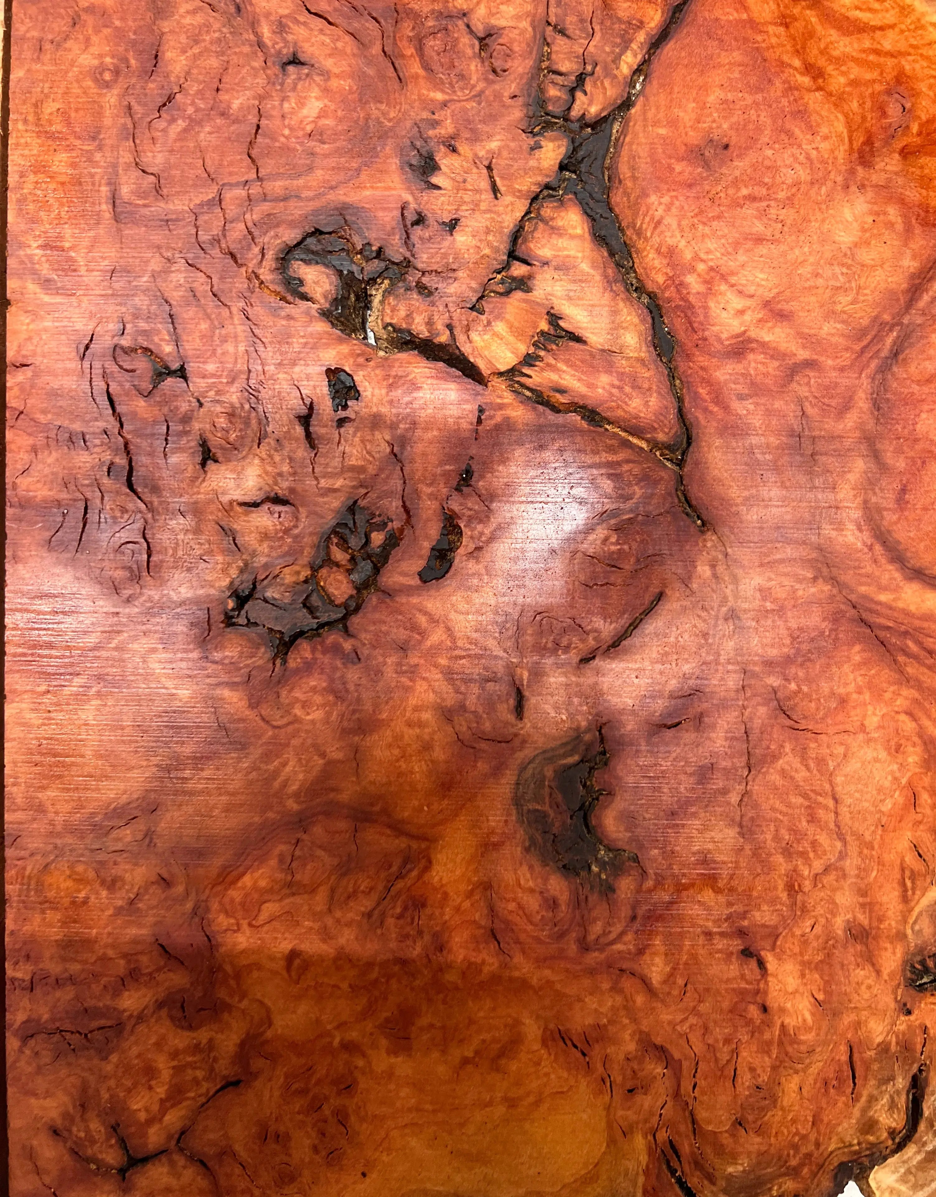 Red Gum Burl Book Matched Guitar Drop Tops | 21" x 14" x 3/8" #51 - Exotic Wood Zone - Buy online Across USA 