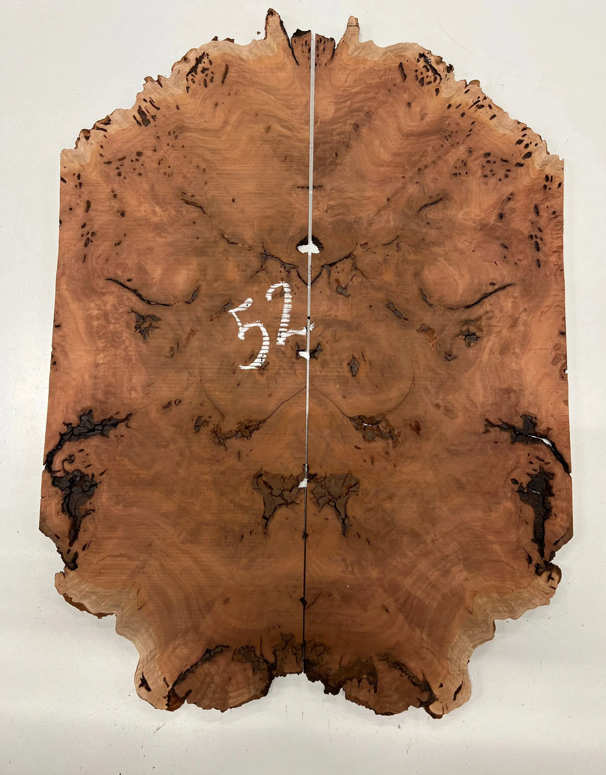 Red Gum Burl Book Matched Guitar Drop Tops | 21" x 14" x 3/8" #52 - Exotic Wood Zone - Buy online Across USA 