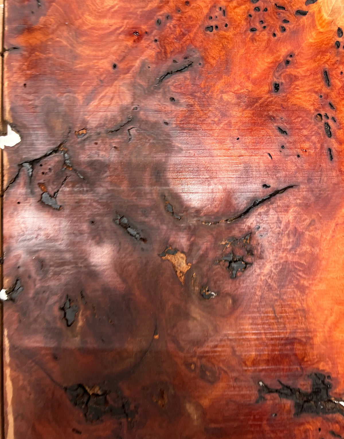 Red Gum Burl Book Matched Guitar Drop Tops | 21" x 14" x 3/8" #52 - Exotic Wood Zone - Buy online Across USA 