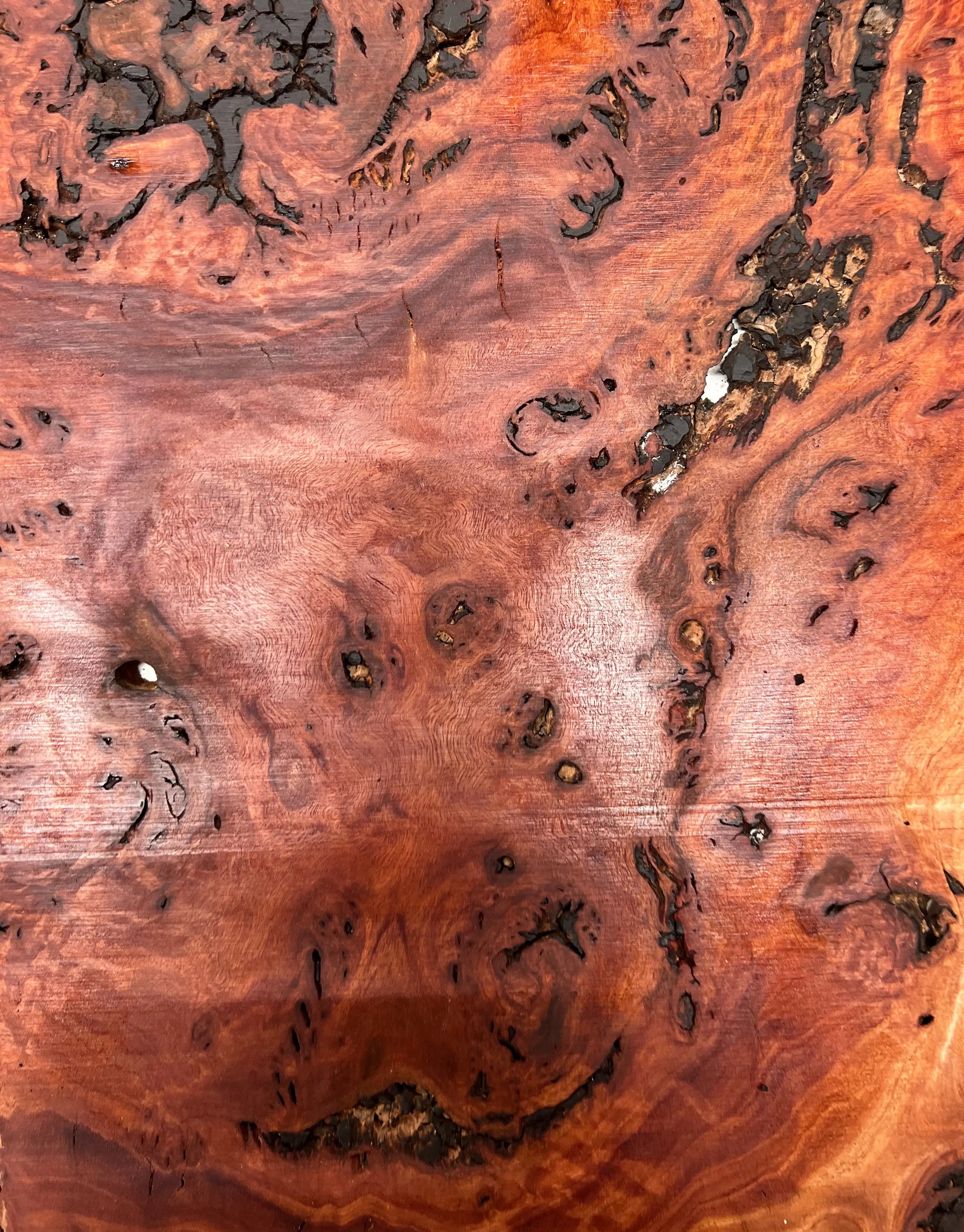 Red Gum Burl Book Matched Guitar Drop Tops | 21" x 14" x 3/8" #53 - Exotic Wood Zone - Buy online Across USA 