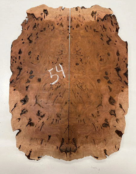 Red Gum Burl Book Matched Guitar Drop Tops | 21" x 14" x 3/8" #54 - Exotic Wood Zone - Buy online Across USA 