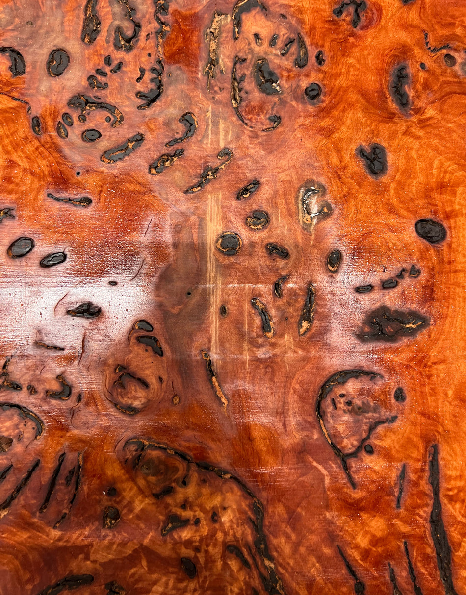 Red Gum Burl Book Matched Guitar Drop Tops | 21" x 14" x 3/8" #55 - Exotic Wood Zone - Buy online Across USA 