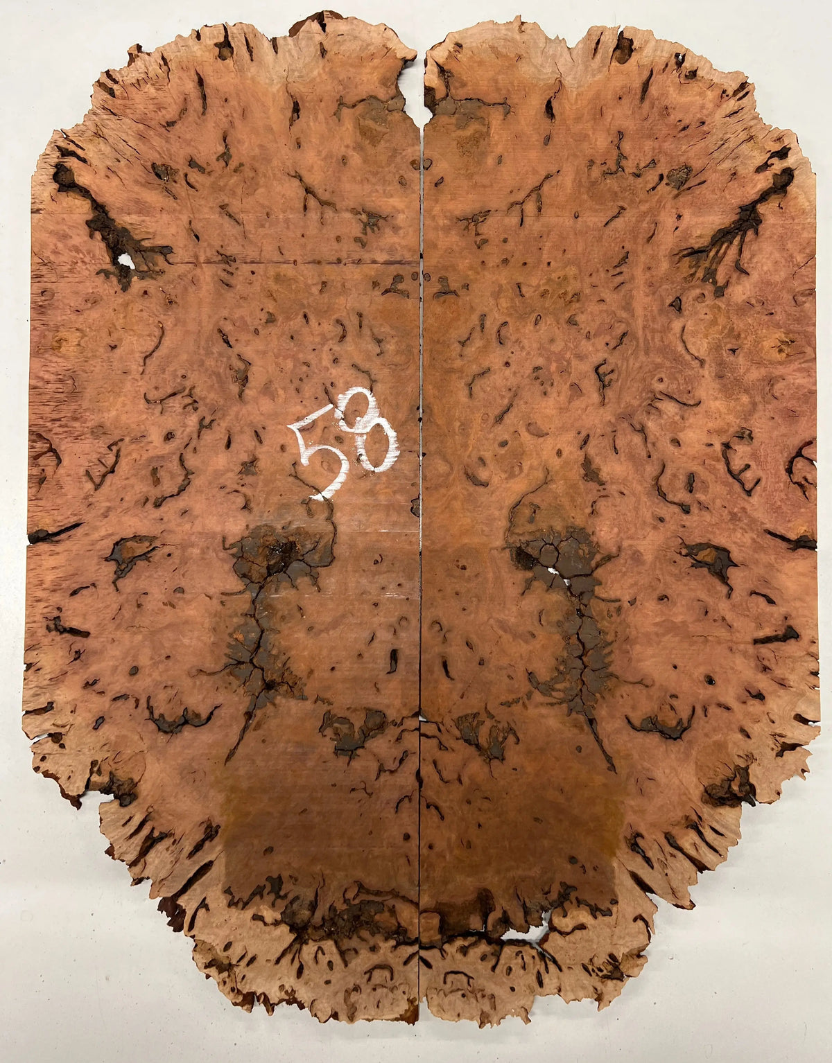 Red Gum Burl Book Matched Guitar Drop Tops | 21" x 14" x 3/8" #58 - Exotic Wood Zone - Buy online Across USA 